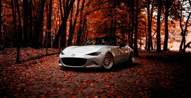 Mazda, Off Road, Autumn, Sports Car Wallpaper, HD Image, Picture, Background, 37da88