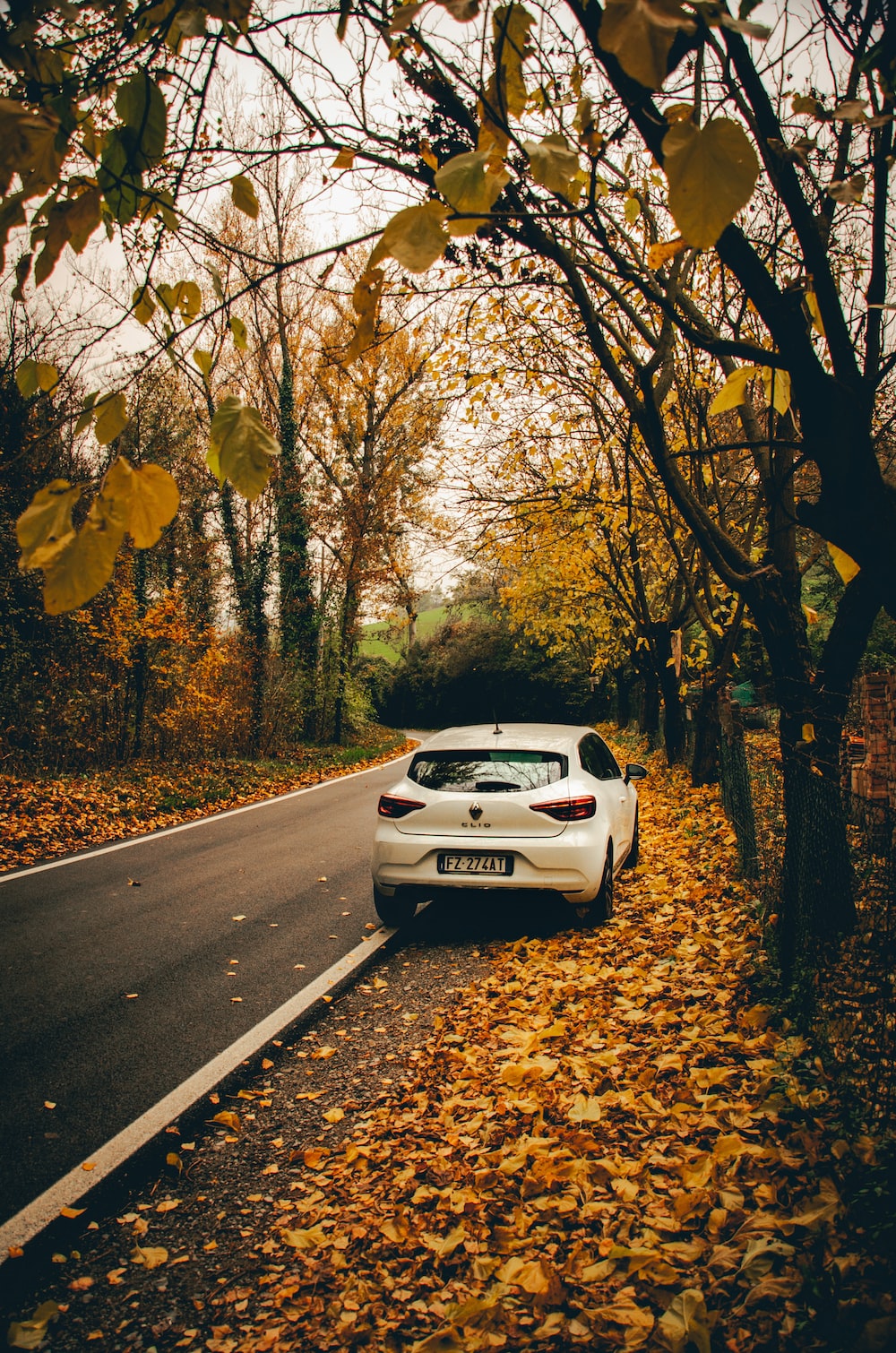 Autumn Car Picture. Download Free Image