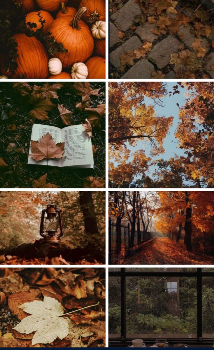 Dark Autumn Collage Wallpapers - Wallpaper Cave