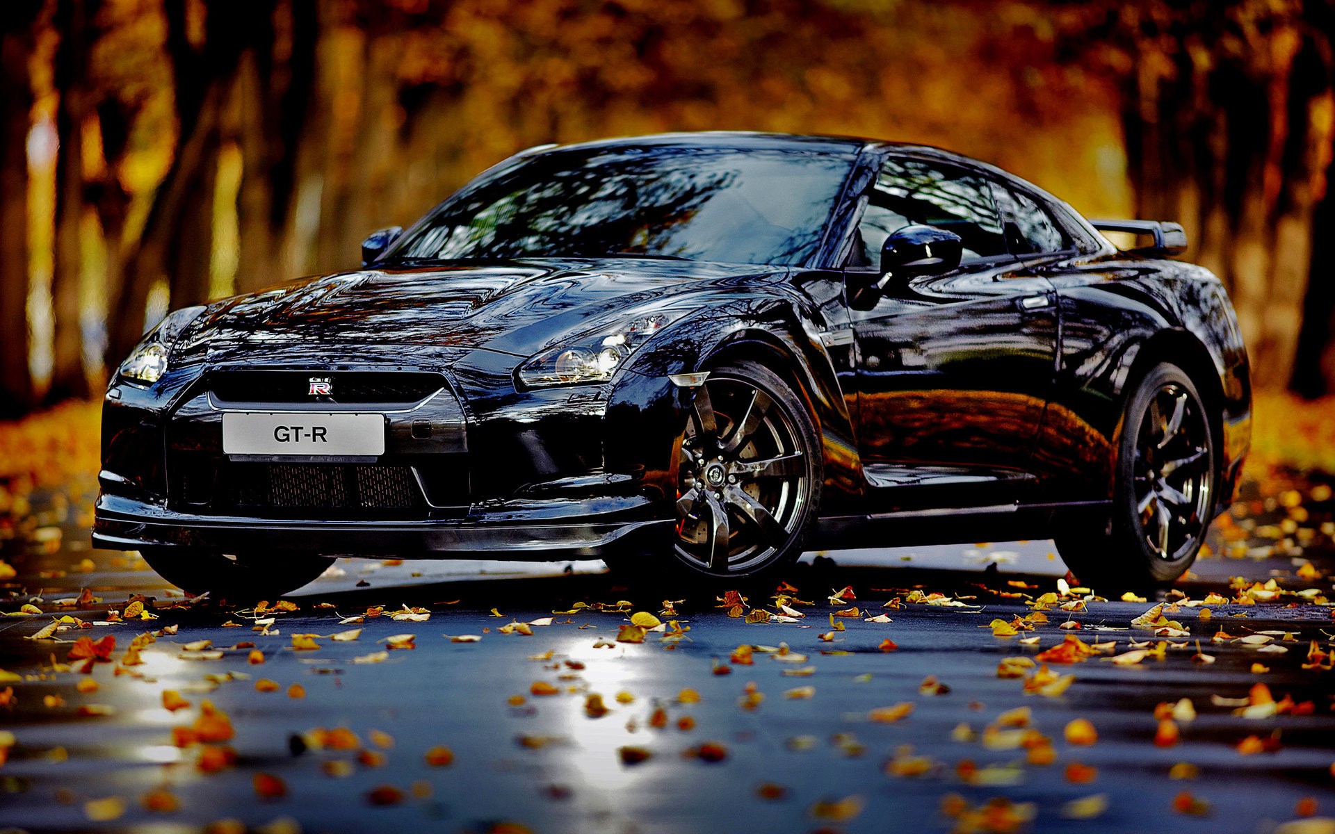 autumn, Cars, Leaves, Nissan, Skyline, Gtr Wallpaper HD / Desktop and Mobile Background