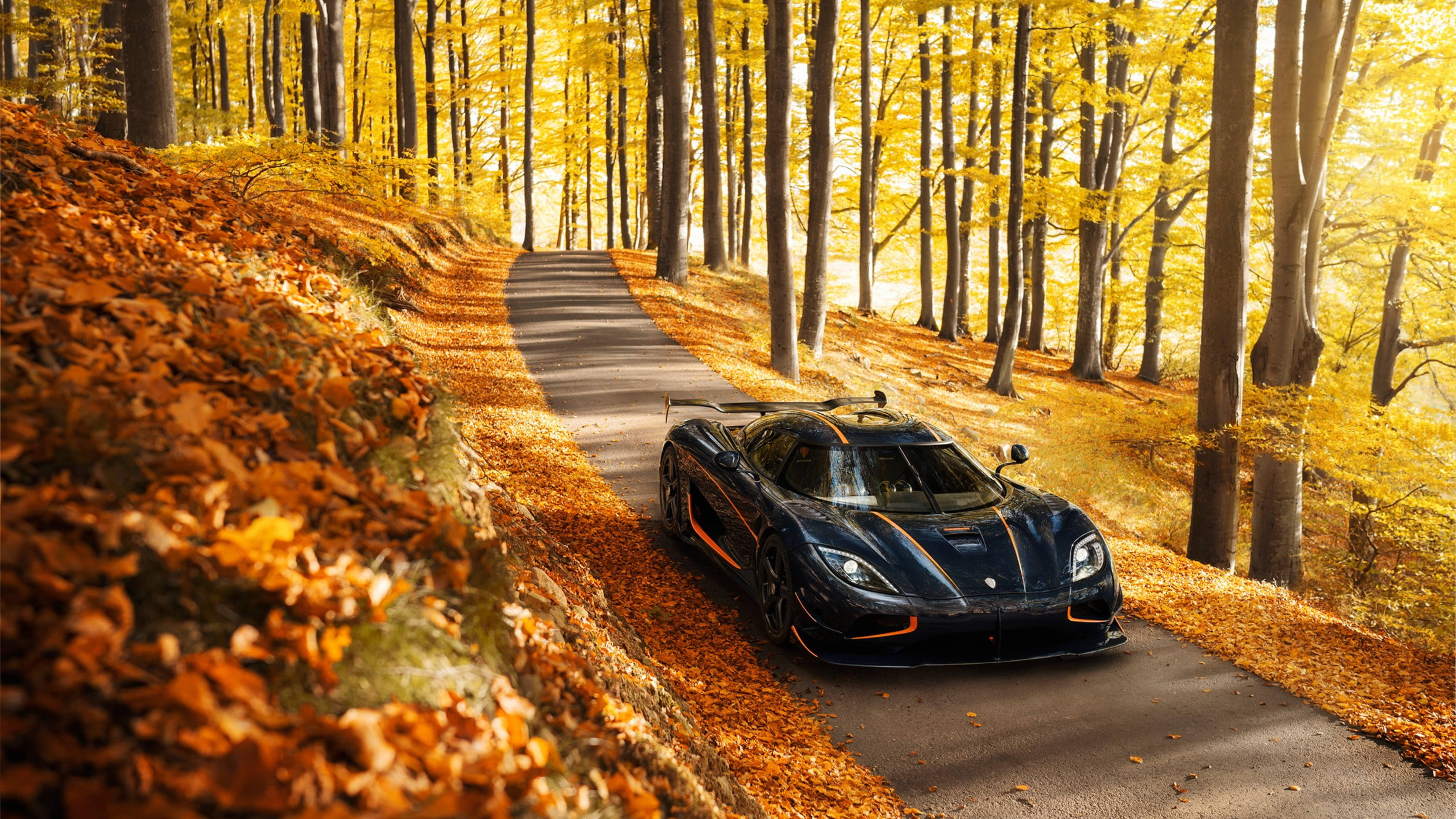 Download Sports Car In Autumn Wallpaper