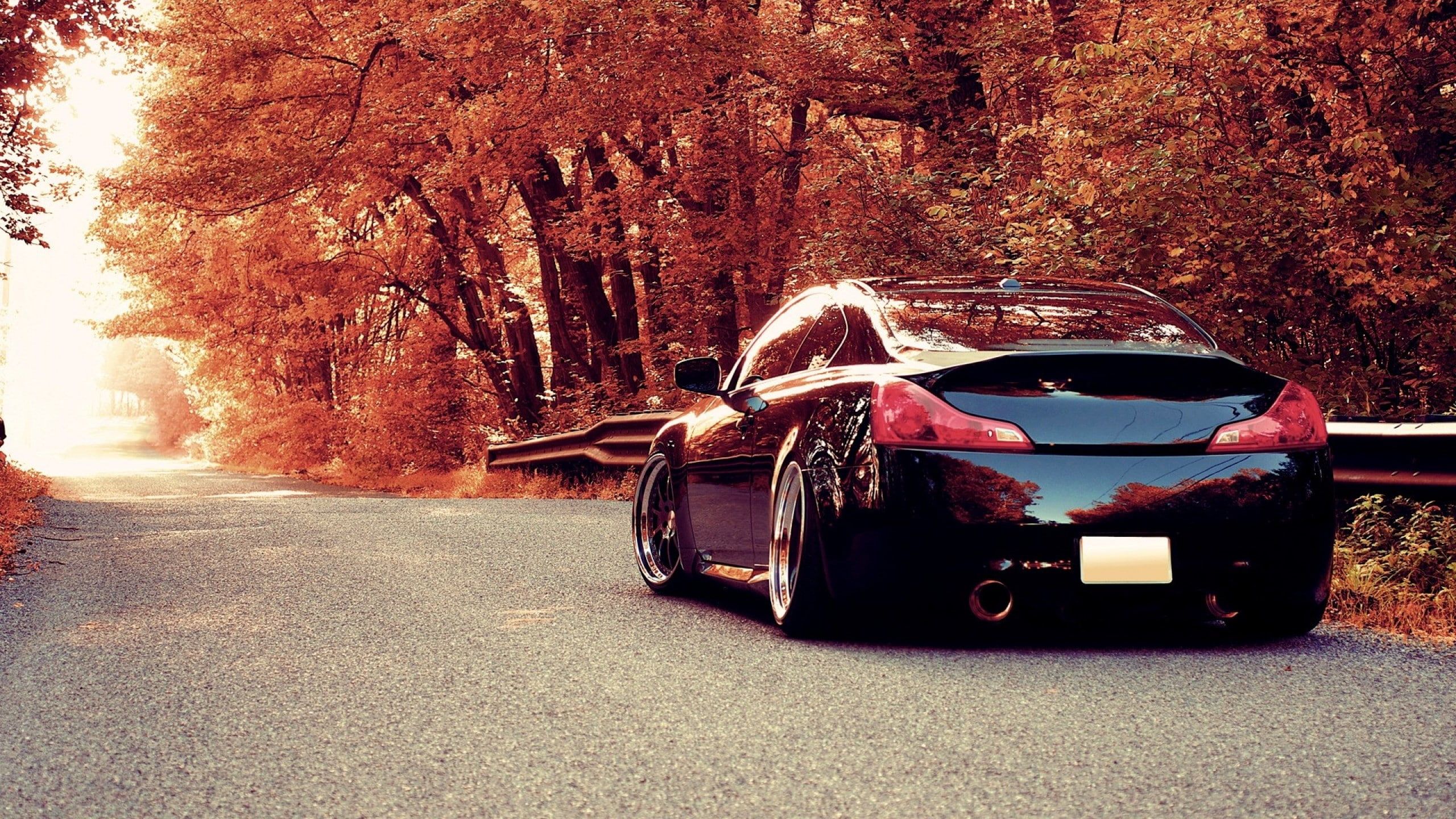 cars #road x1440 #porsche #Forest #autumn #uhd K K #wallpaper #hdwallpaper #desktop. Car picture, Porsche sports car, Car