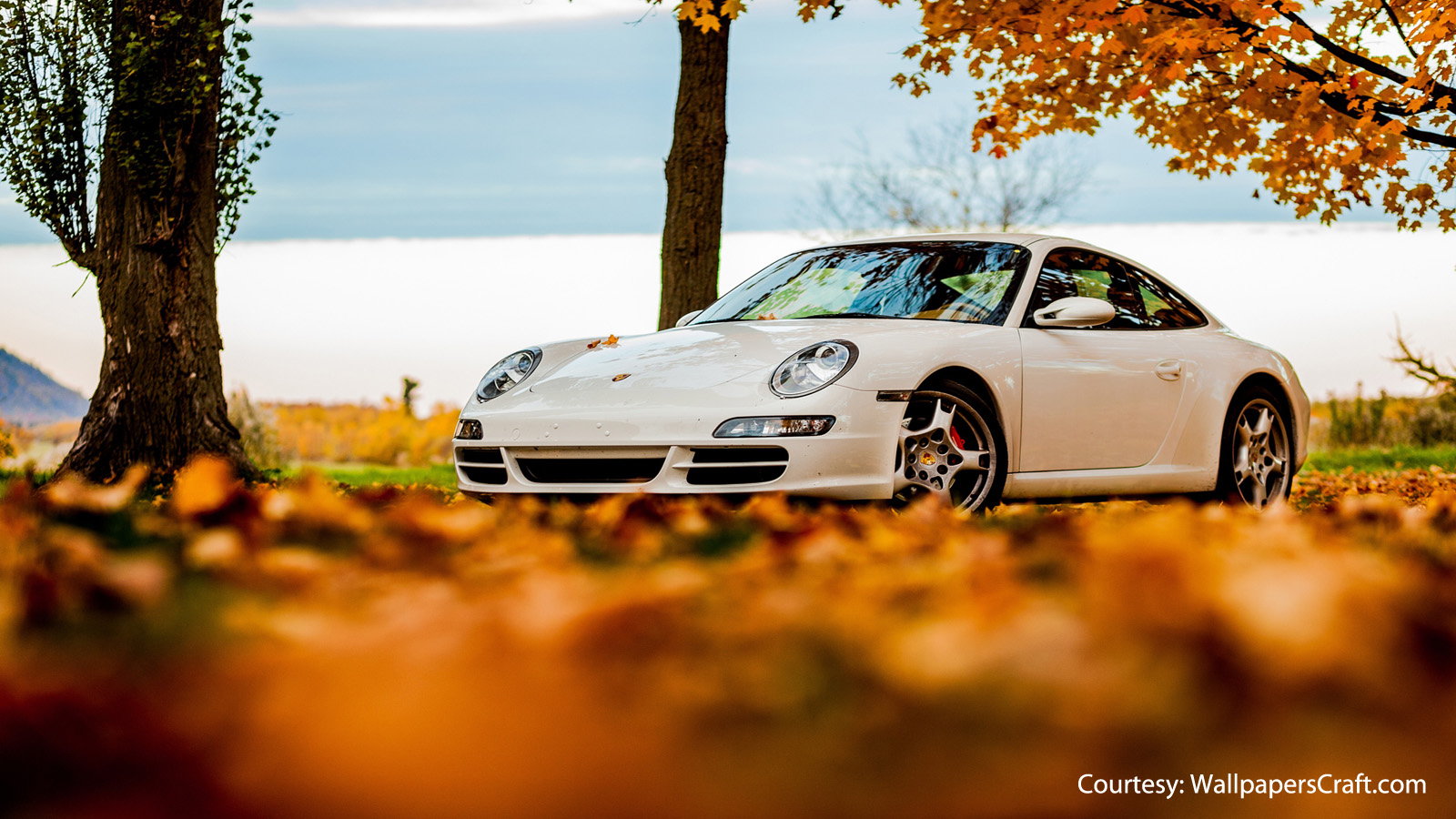 Perfect Porsche Wallpaper for Autumn