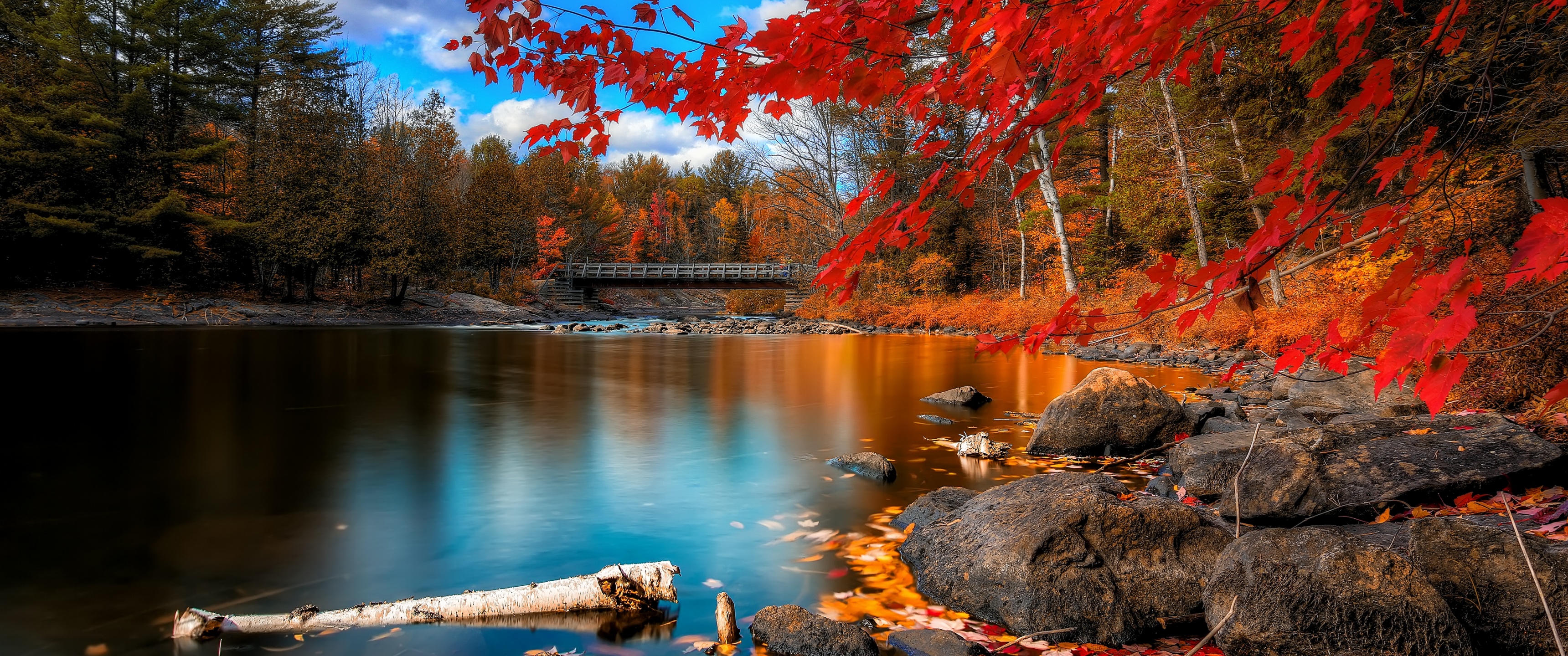 Autumn Forest Wallpaper 4K, Maple trees, Lake, Wooden bridge, Autumn leaves, Nature