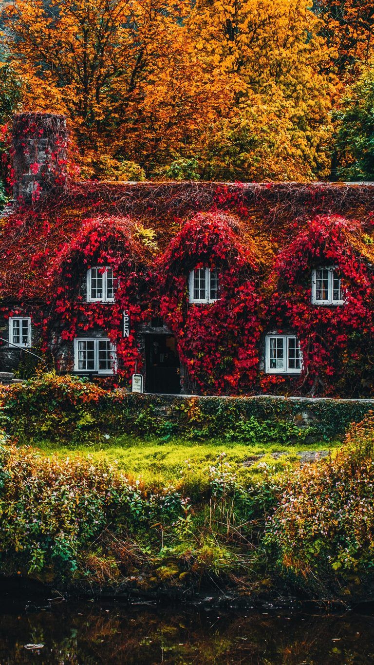 Fall iPhone XS Wallpaper Autumn Background. Landscape wallpaper, Autumn landscape, Landscape