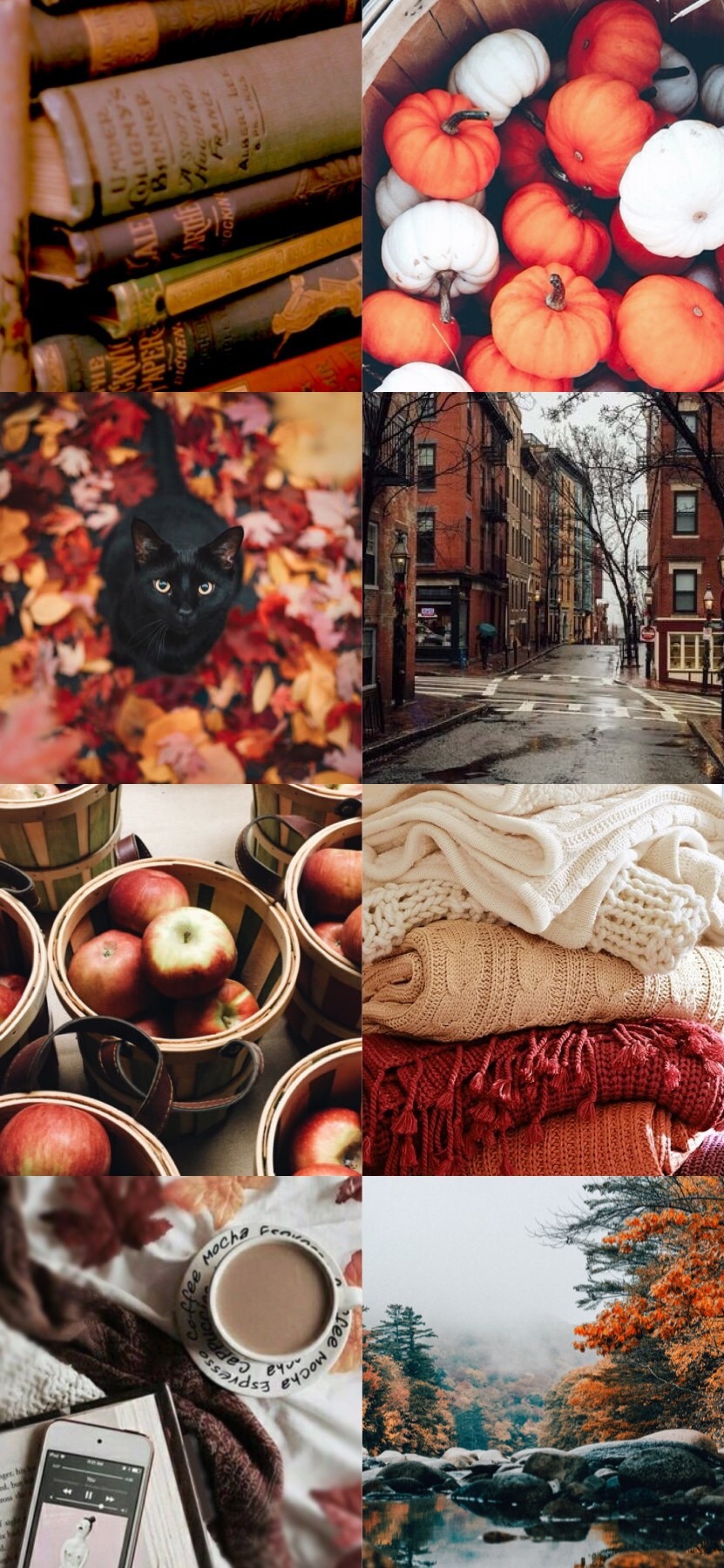 Aesthetic Cat Autumn Wallpapers - Wallpaper Cave