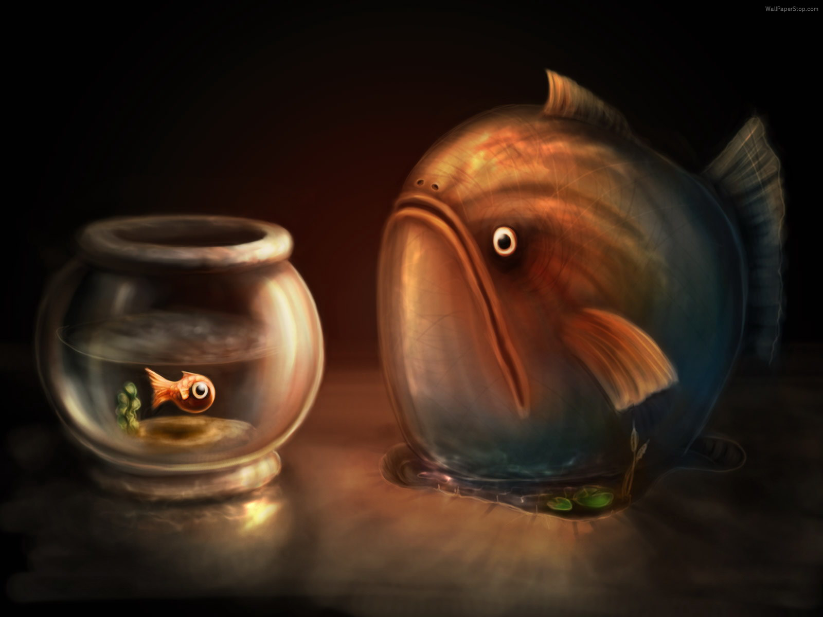 Download Fish Bowl Fish Animal Artistic Wallpaper
