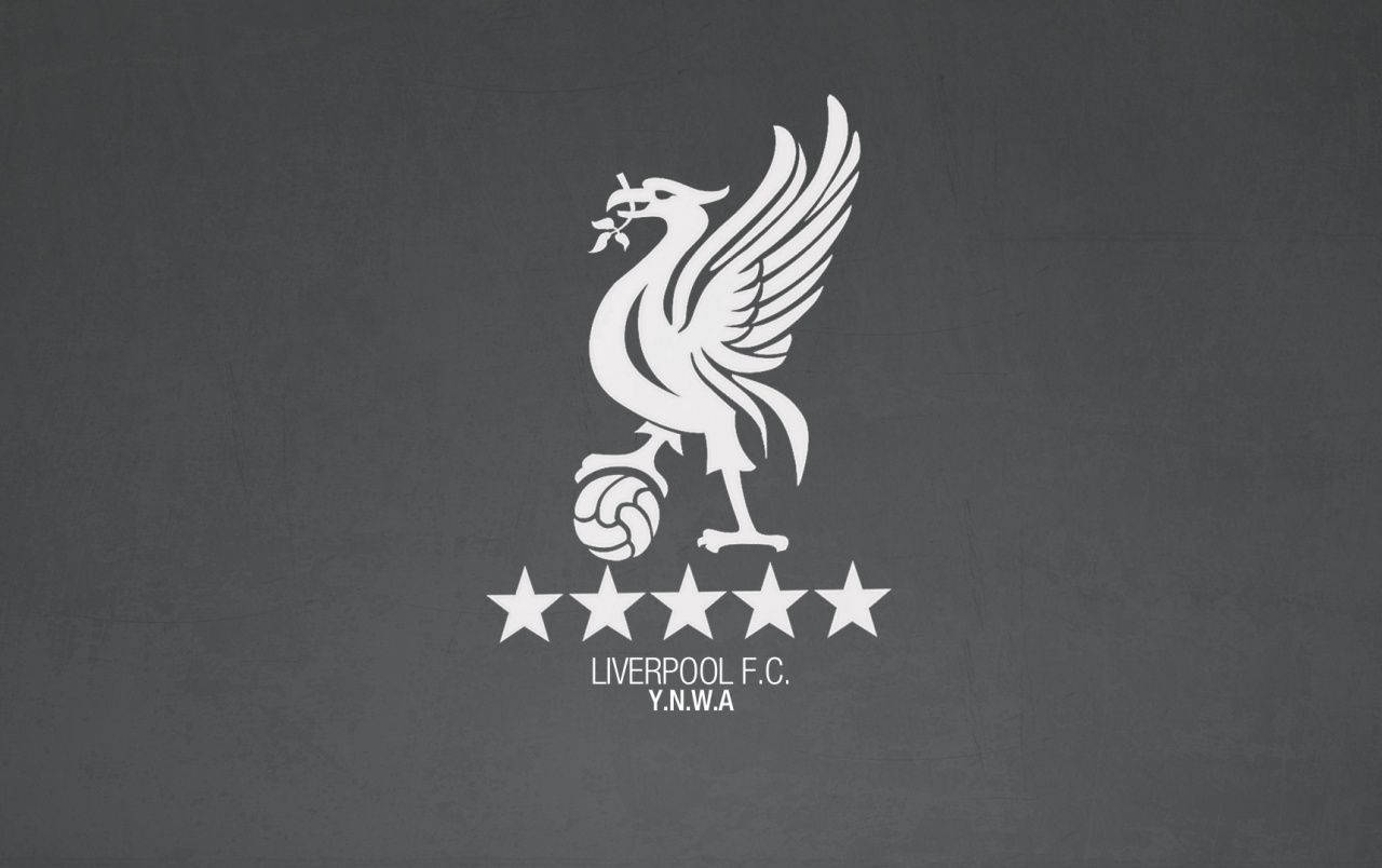 Download White And Gray Liverpool Fc Wallpaper