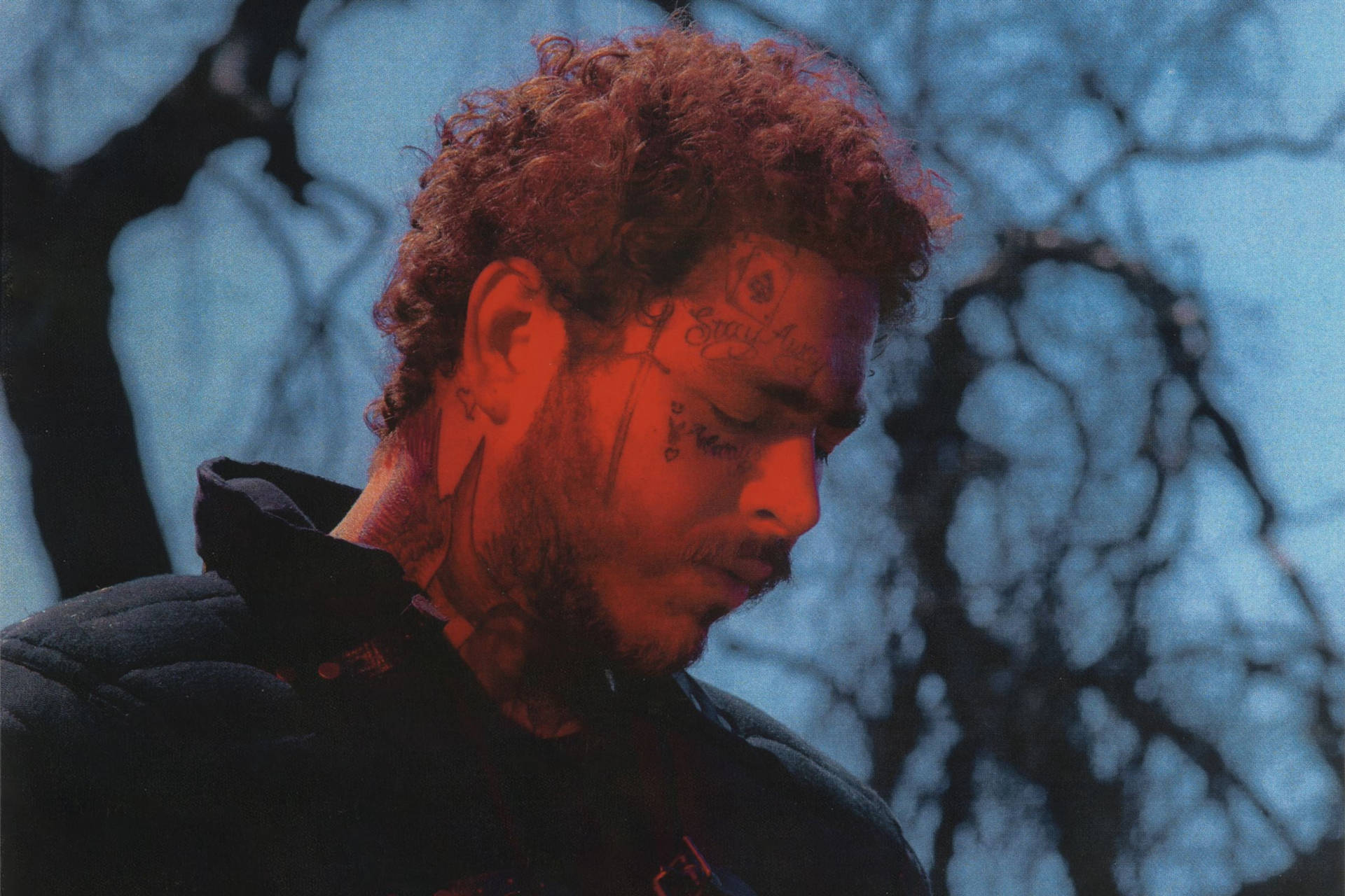 Download Post Malone Artist Wallpaper