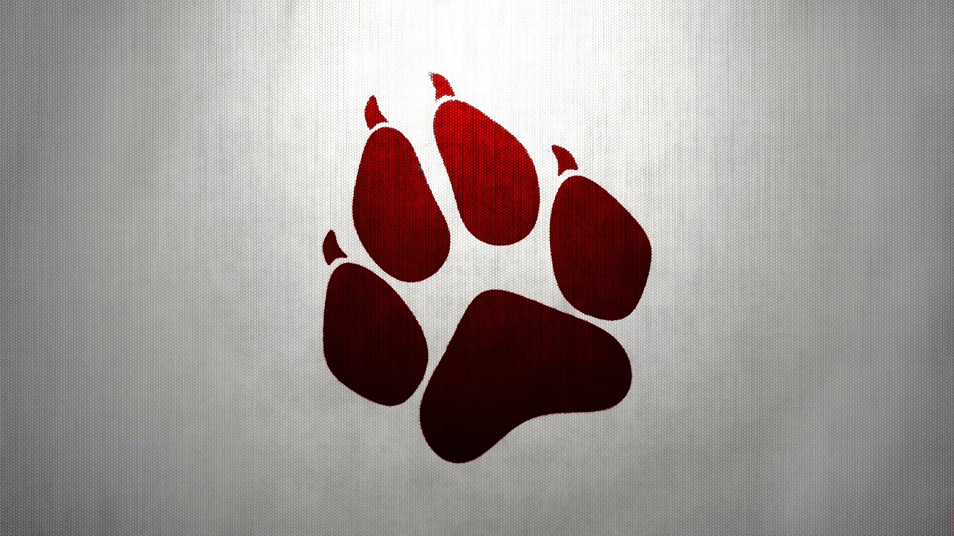 Paw HD Wallpaper and Background
