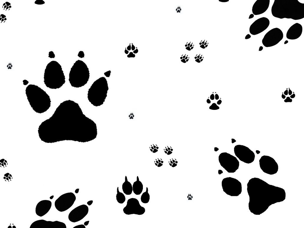 Free download Wolf Paw Prints wallpaper ForWallpapercom [1032x774] for your Desktop, Mobile & Tablet. Explore Dog Print Wallpaper. Dog Paw Print Wallpaper, Dog Paws Wallpaper, Dog Pattern Wallpaper
