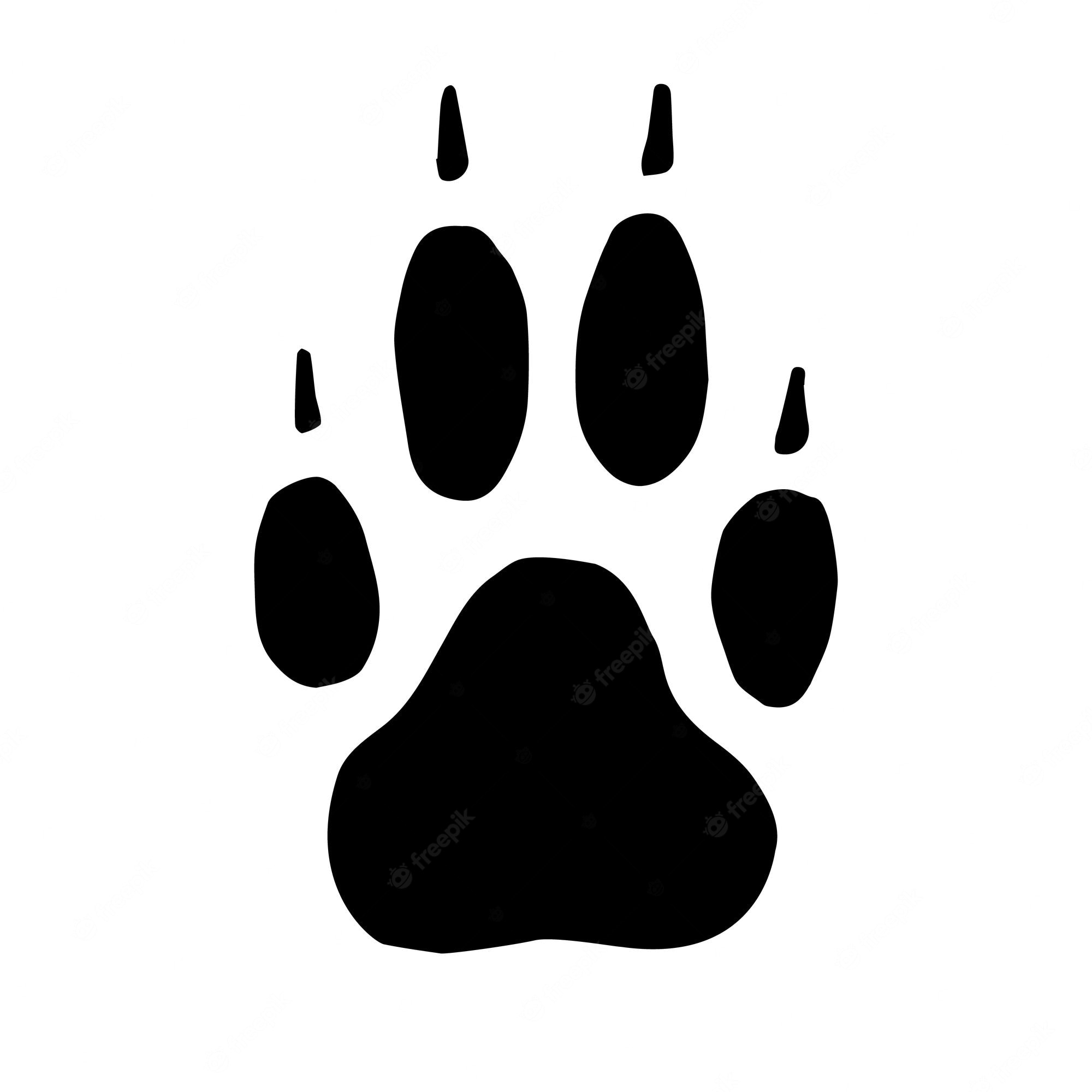Premium Vector. Vector hand drawn wolf dog paw foot print