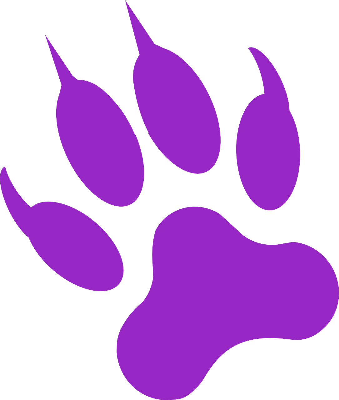 Paw Print Wolf vector graphic