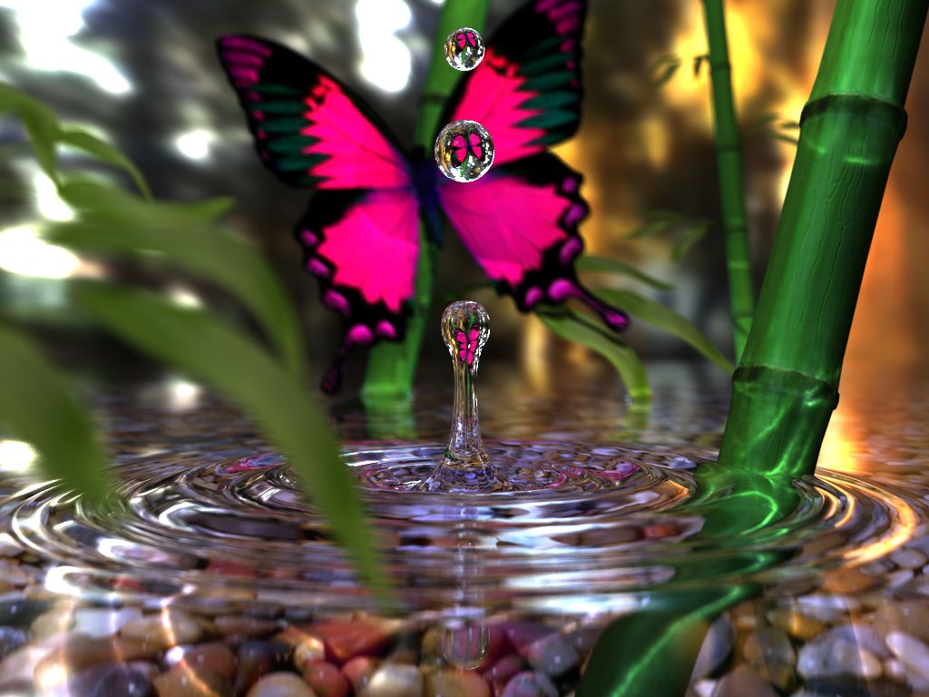 Butterfly Water Drop. Blomster, Farver, Sommerfugle