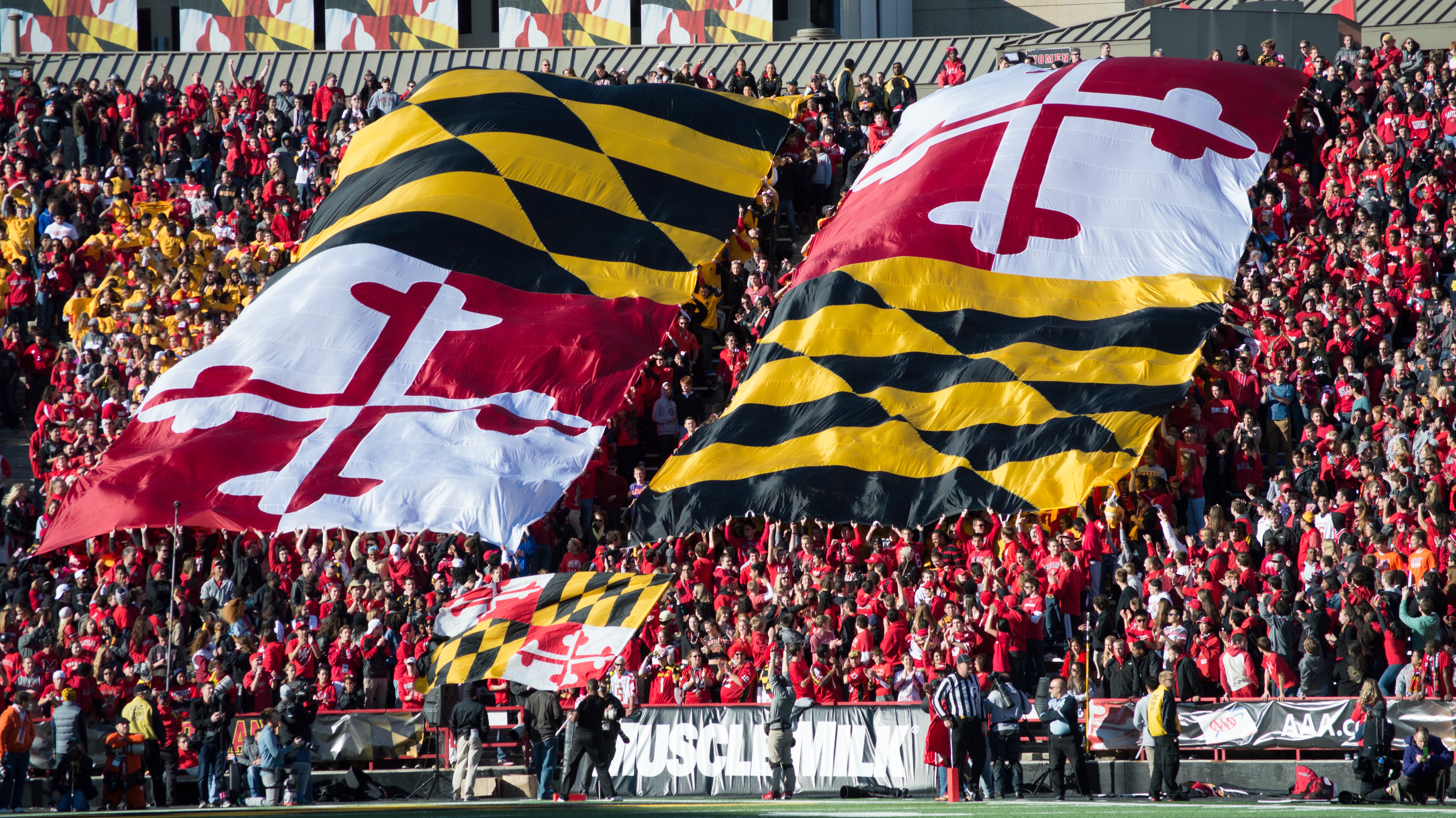 Free download MARYLAND TERRAPINS college football wallpaper 6016x3382 597572 [6016x3382] for your Desktop, Mobile & Tablet. Explore Maryland Basketball Wallpaper. Byrd Stadium Wallpaper, Maryland Wallpaper, University of Maryland Wallpaper