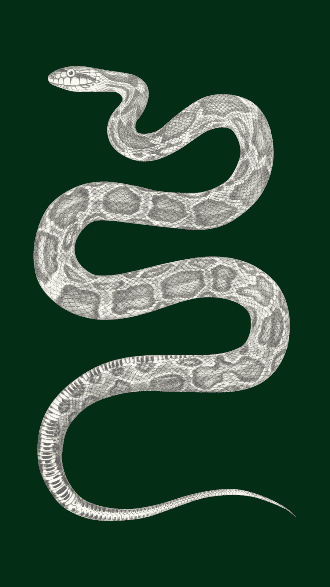 FREE Slytherin Wallpaper & Desktop
