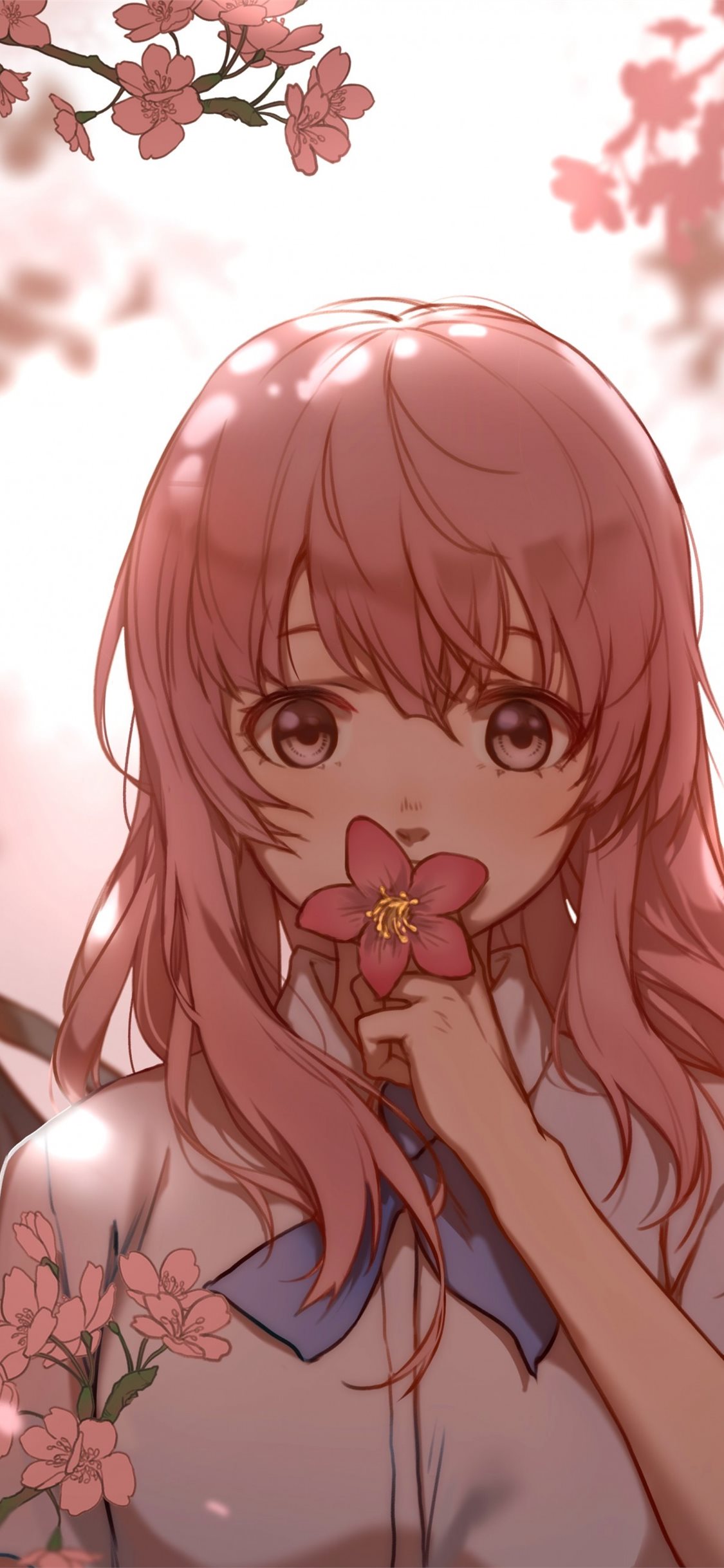 Best Shouko nishimiya iPhone HD