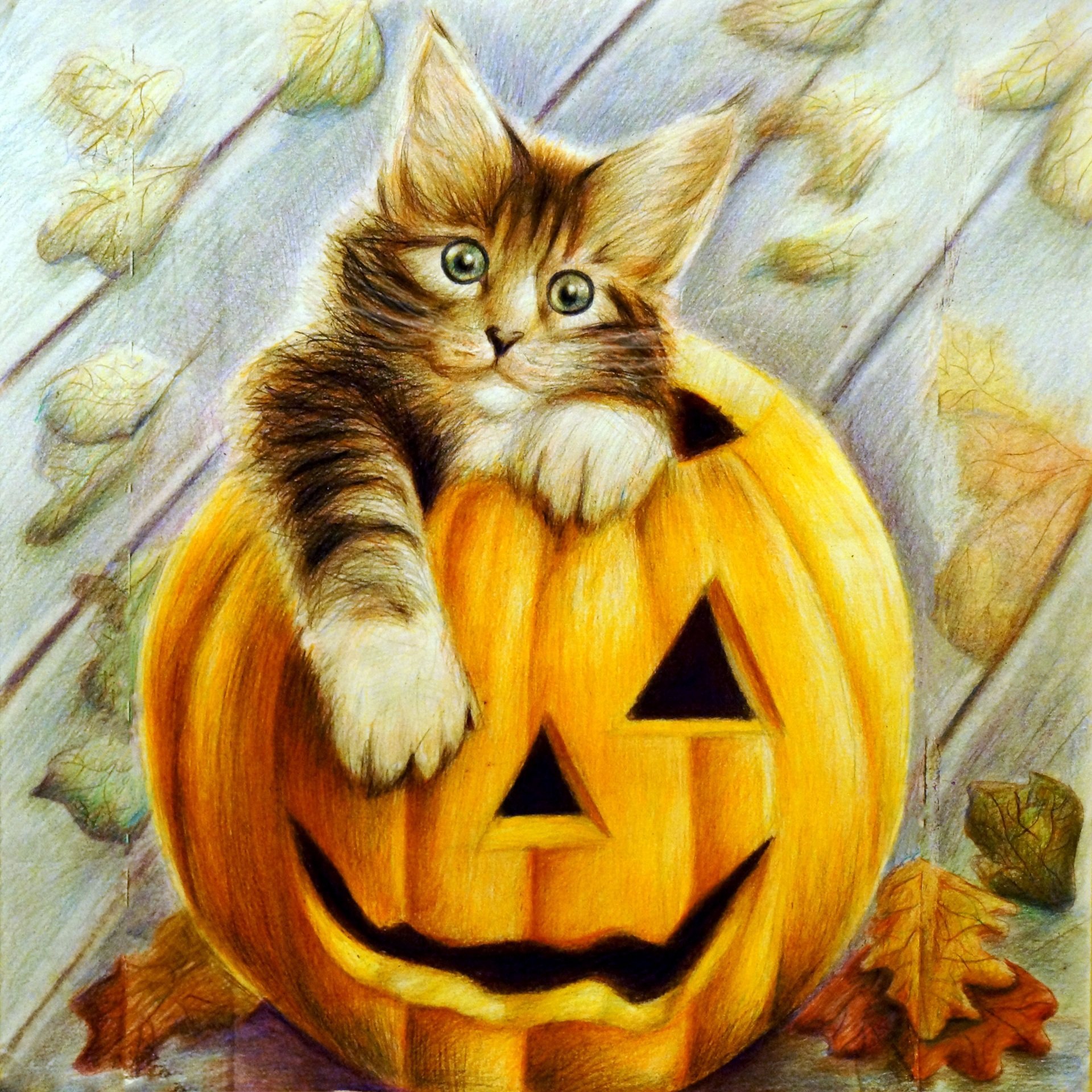 cats, Painting, Art, Halloween, Pumpkin, Animals, Wallpaper Wallpaper HD / Desktop and Mobile Background
