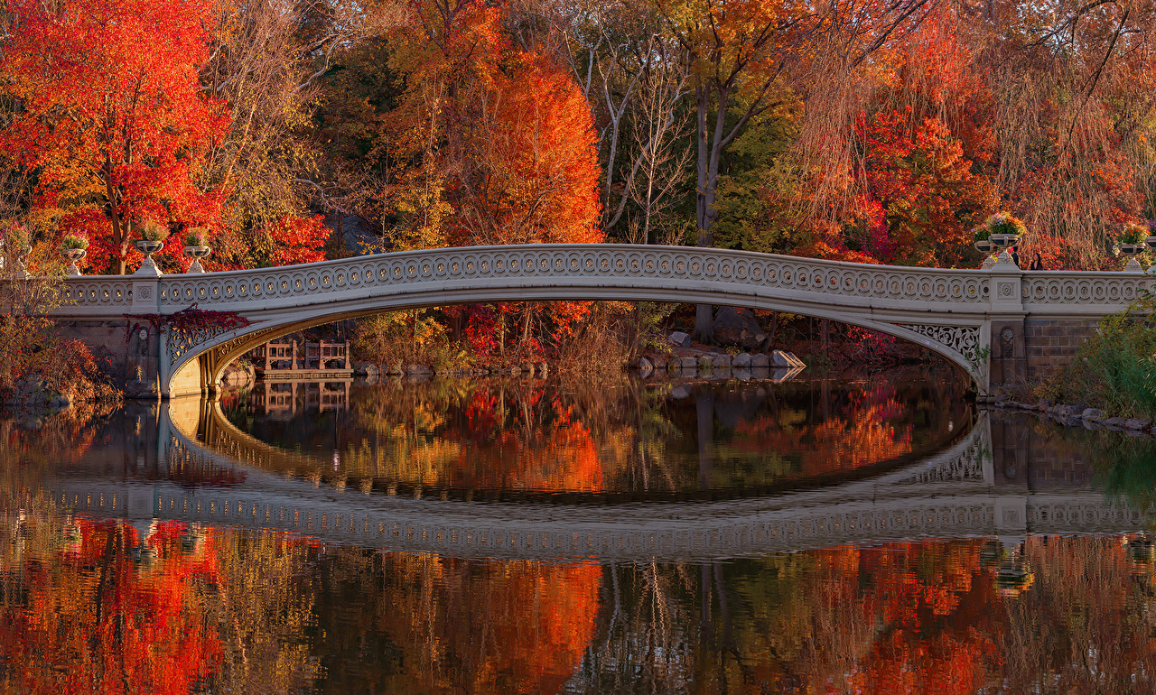 Image New York City USA Central Park Autumn bridge Nature Parks