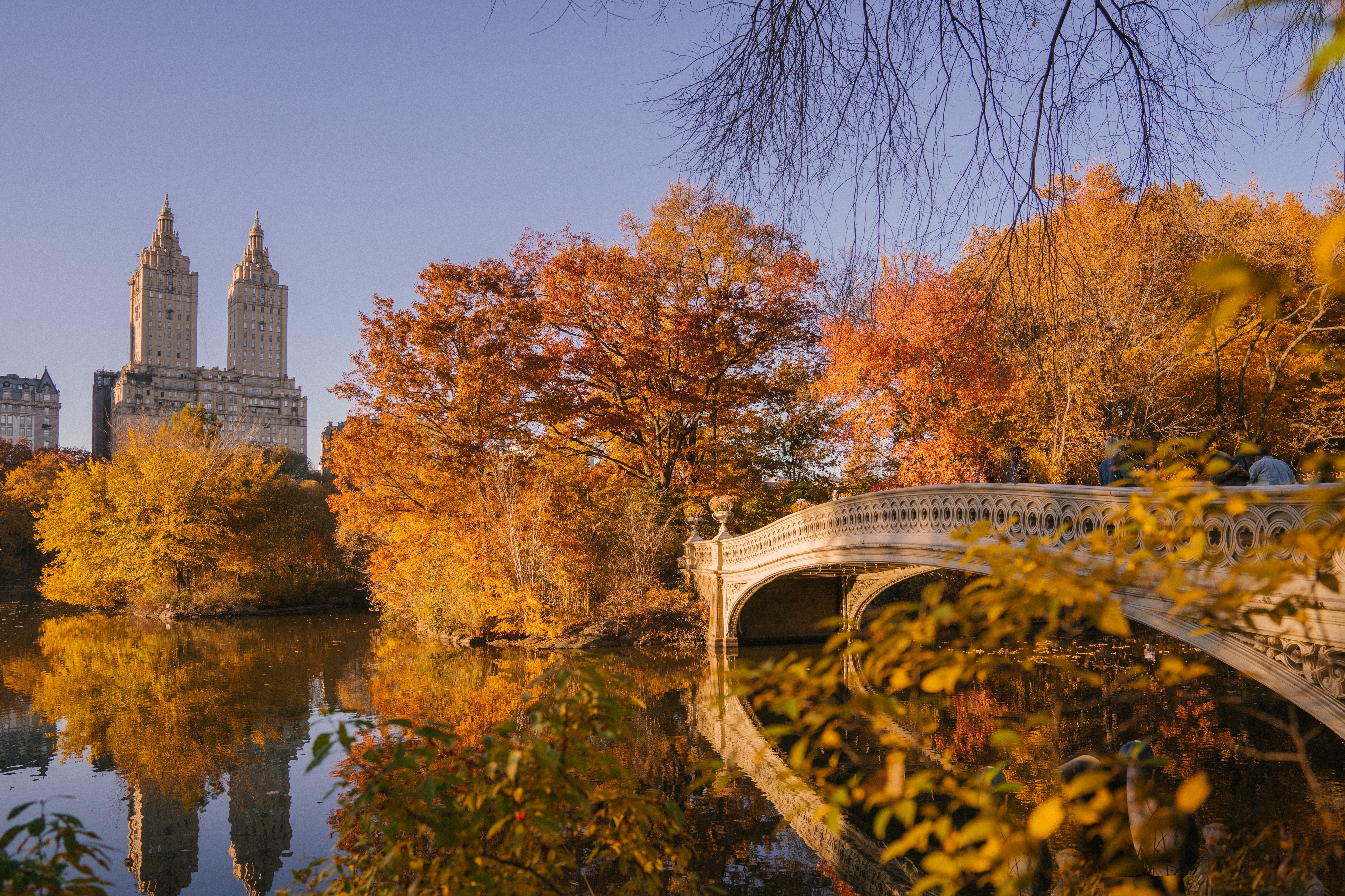 Central Park New York Photo, Download