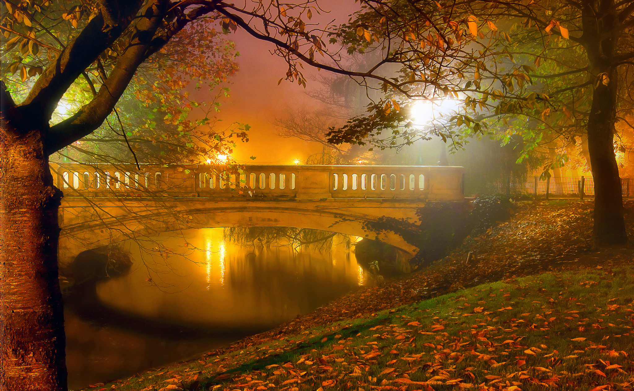 Misty Night in Autumn Park