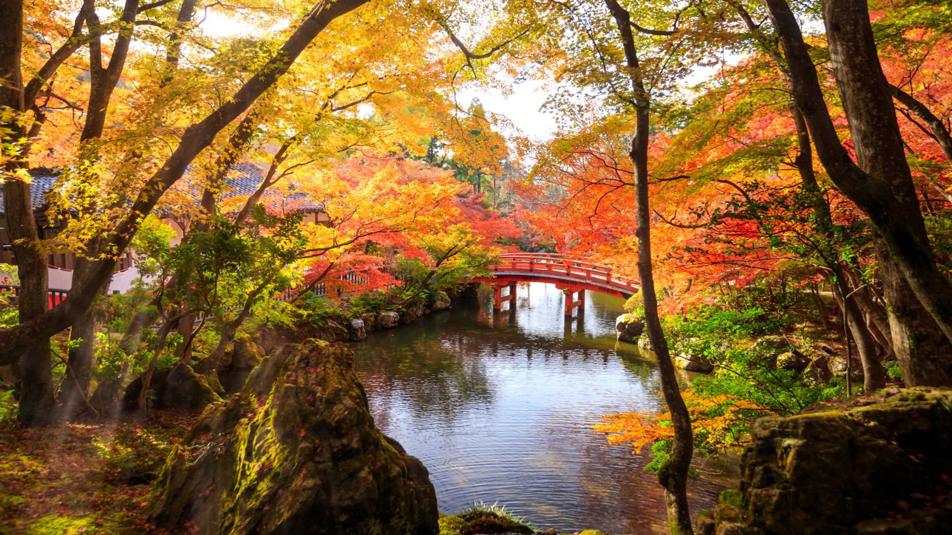 Autumn Park In Fushimi Ward Japan 4k Ultra HD Wallpaper