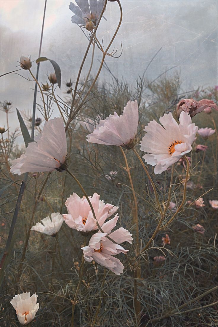 Someday. Cottagecore wallpaper, Cottagecore picture, Cute simple wallpaper