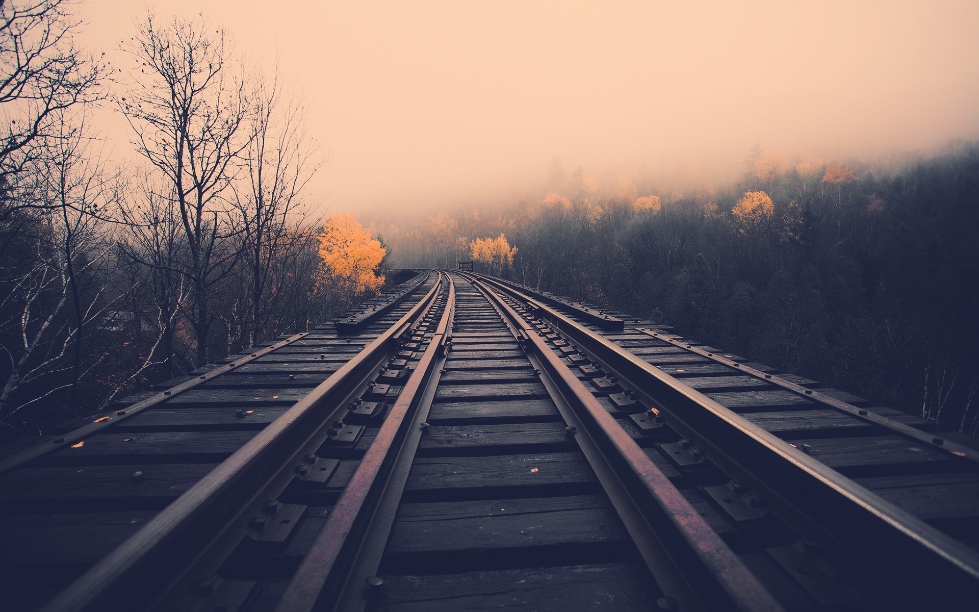 Wallpaper of the Week: Misty Autumn Railroad Tracks's Best