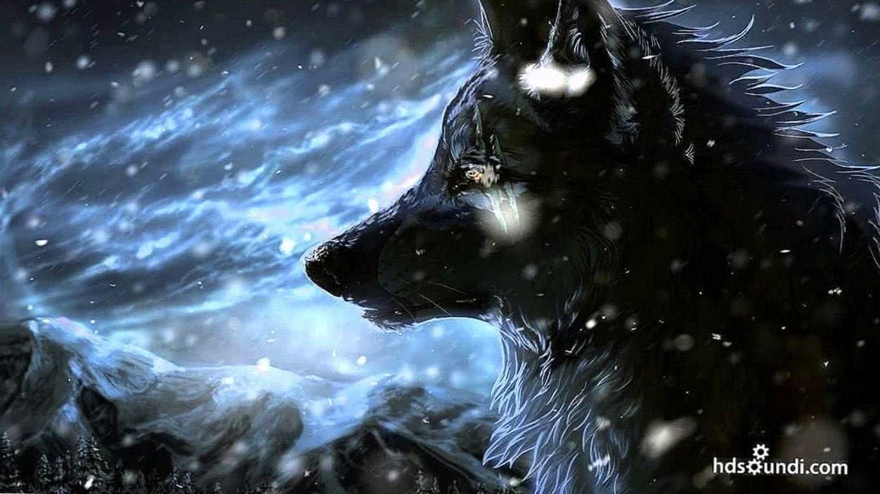 Wolf Wallpaper Epic Wallpaper.pro. Wolf Wallpaper, Wolf Background, Drawing Wallpaper