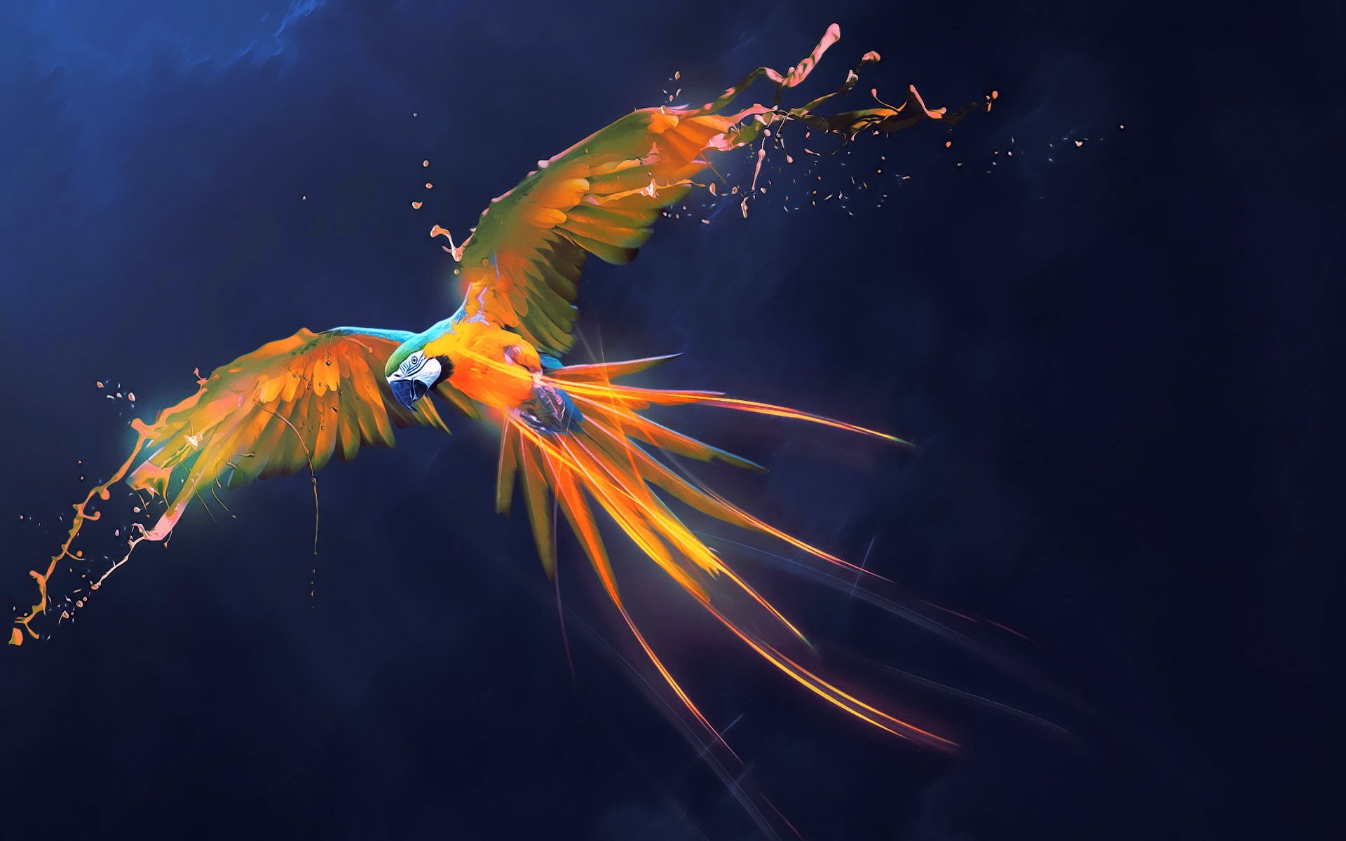 Parrot Security Os Wallpaper