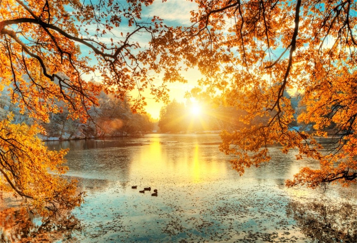 Amazon.com, CSFOTO 8x6ft Autumn Backdrop Fall Leaves Water Lake Sunset Fall Background Autumn Outdoors Holiday Vacation Tourism Photo Wallpaper Thanksgiving Day Photo Background