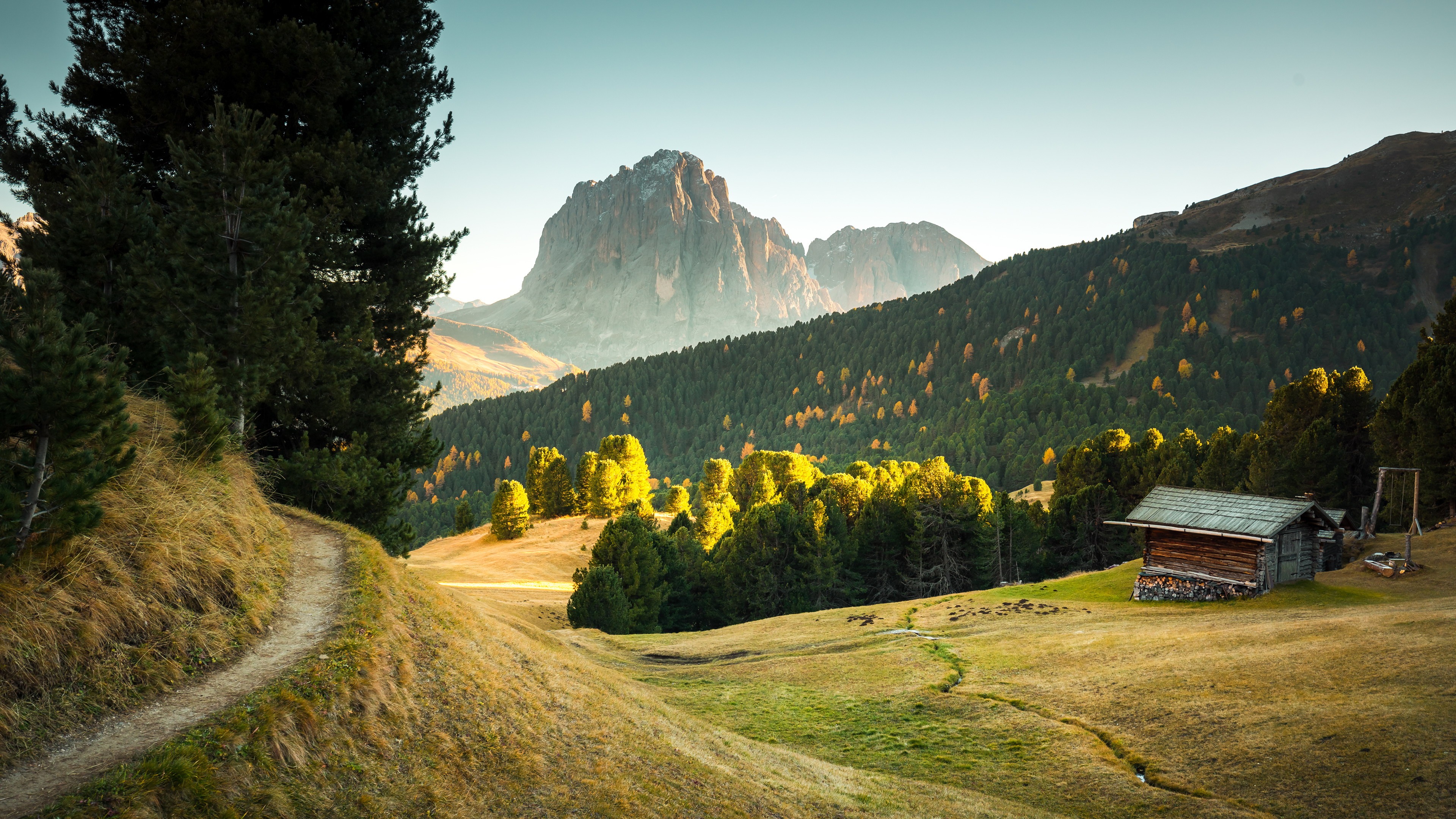 Italy jungle beautiful autumn sunset 4K Ultra HD Photo
