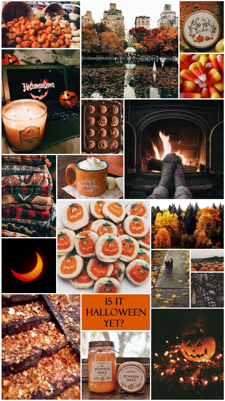 Pictureque Aesthetics