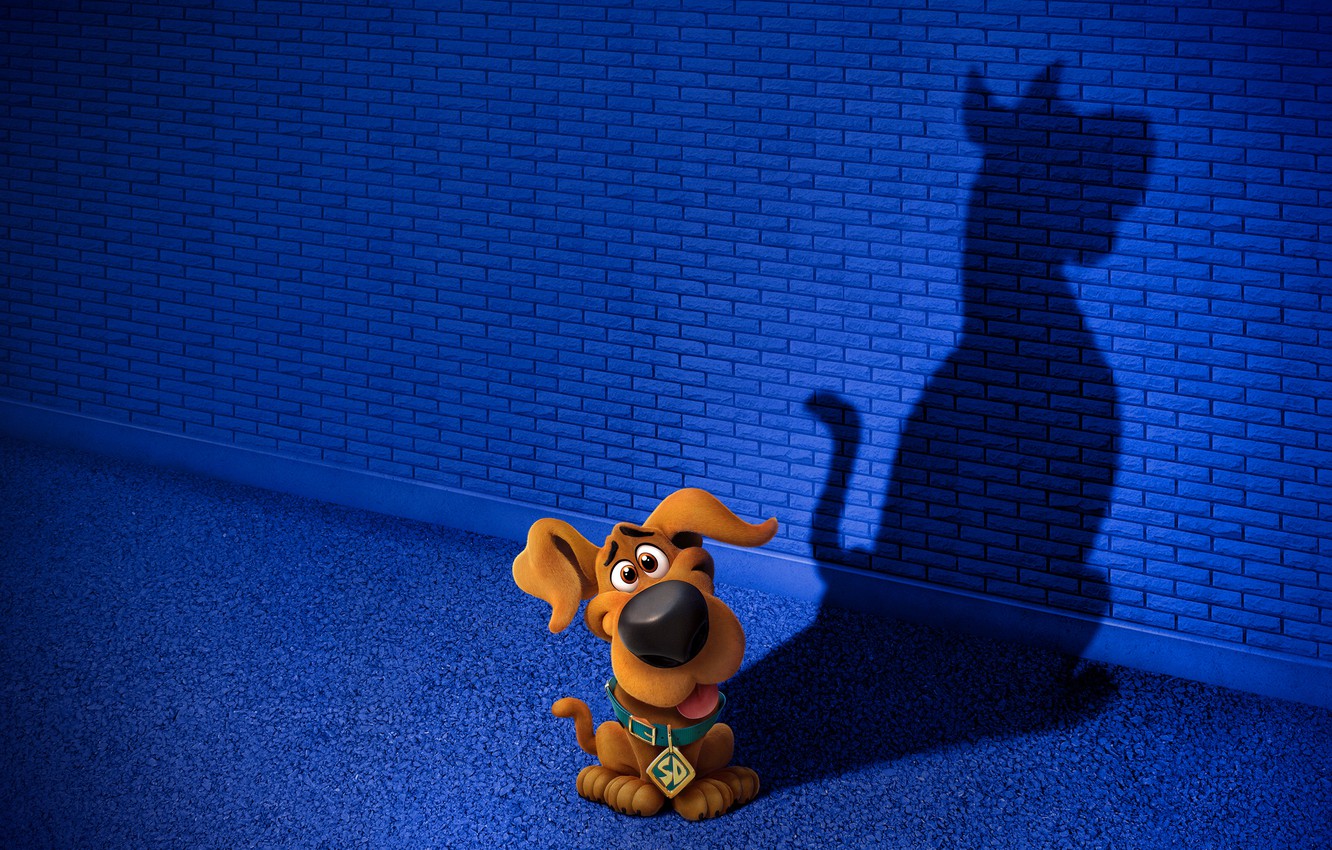 Wallpaper Shadow, Dog, Dog, Puppy, Puppy, Dog, Dog, Scooby Doo, Scooby Doo Image For Desktop, Section фильмы