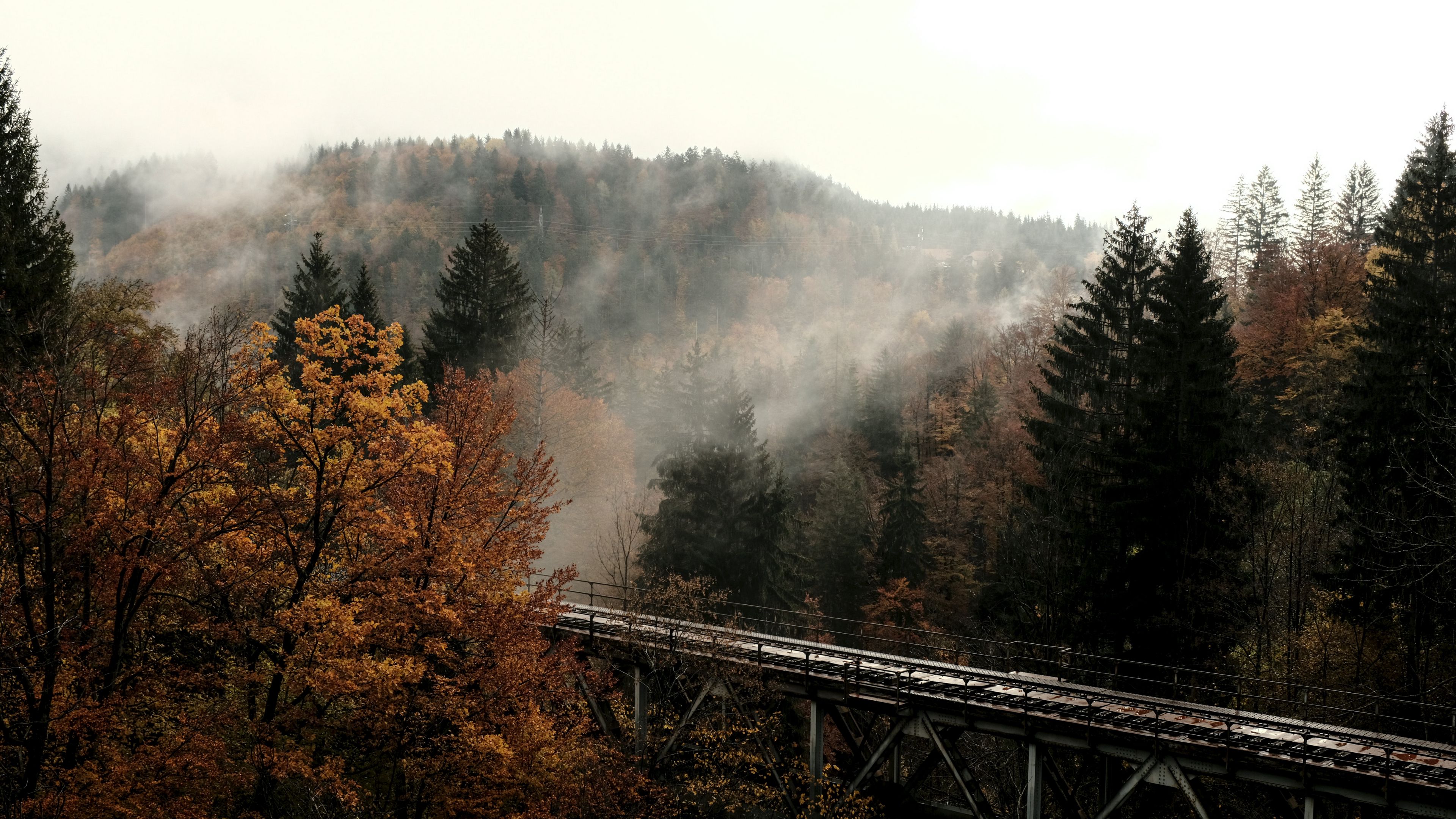 Download wallpaper 3840x2160 bridge, forest, trees, fog, autumn 4k uhd 16:9 HD background