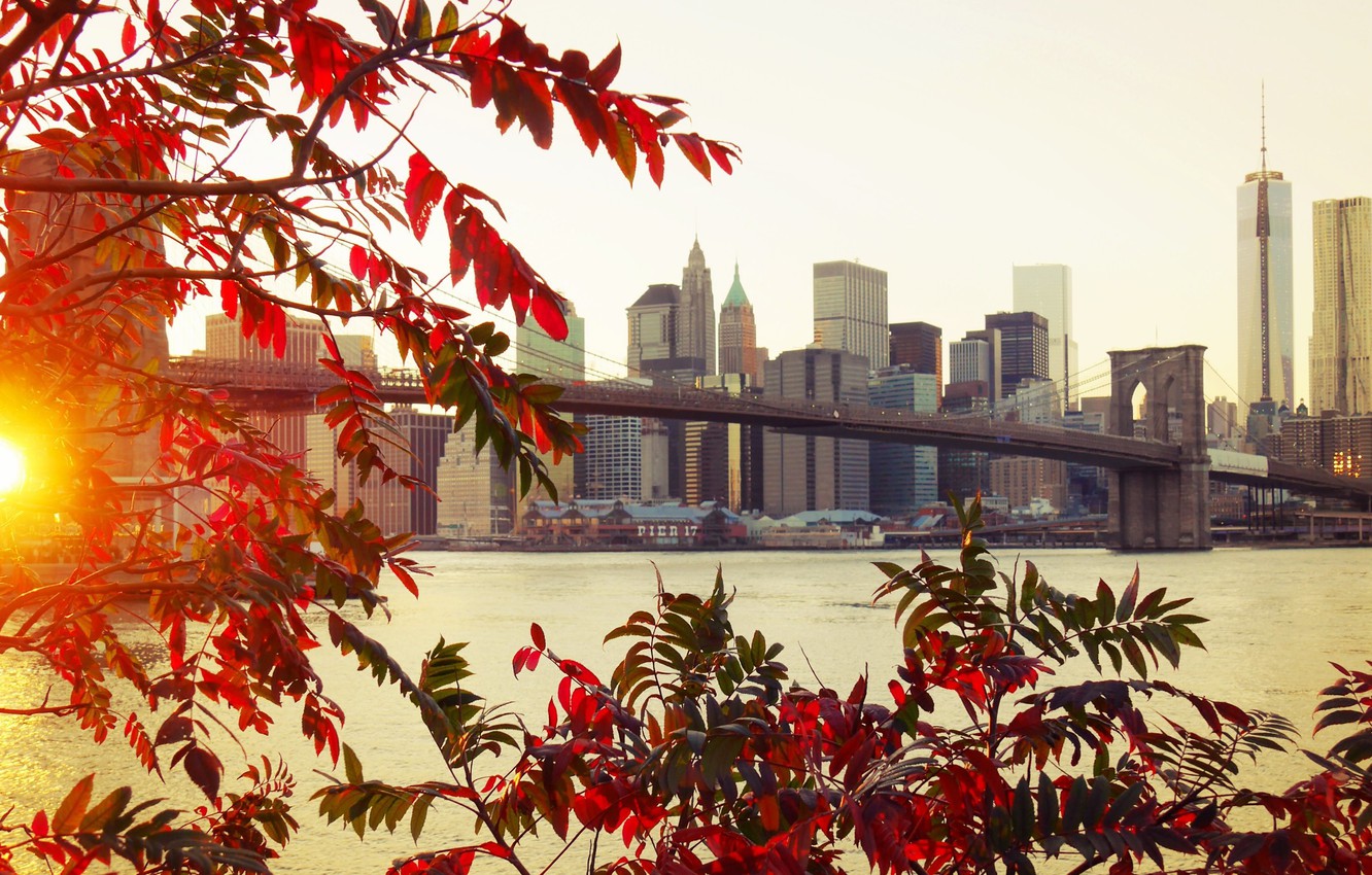 Wallpaper autumn, leaves, bridge, the city, Brooklyn, New York image for desktop, section город