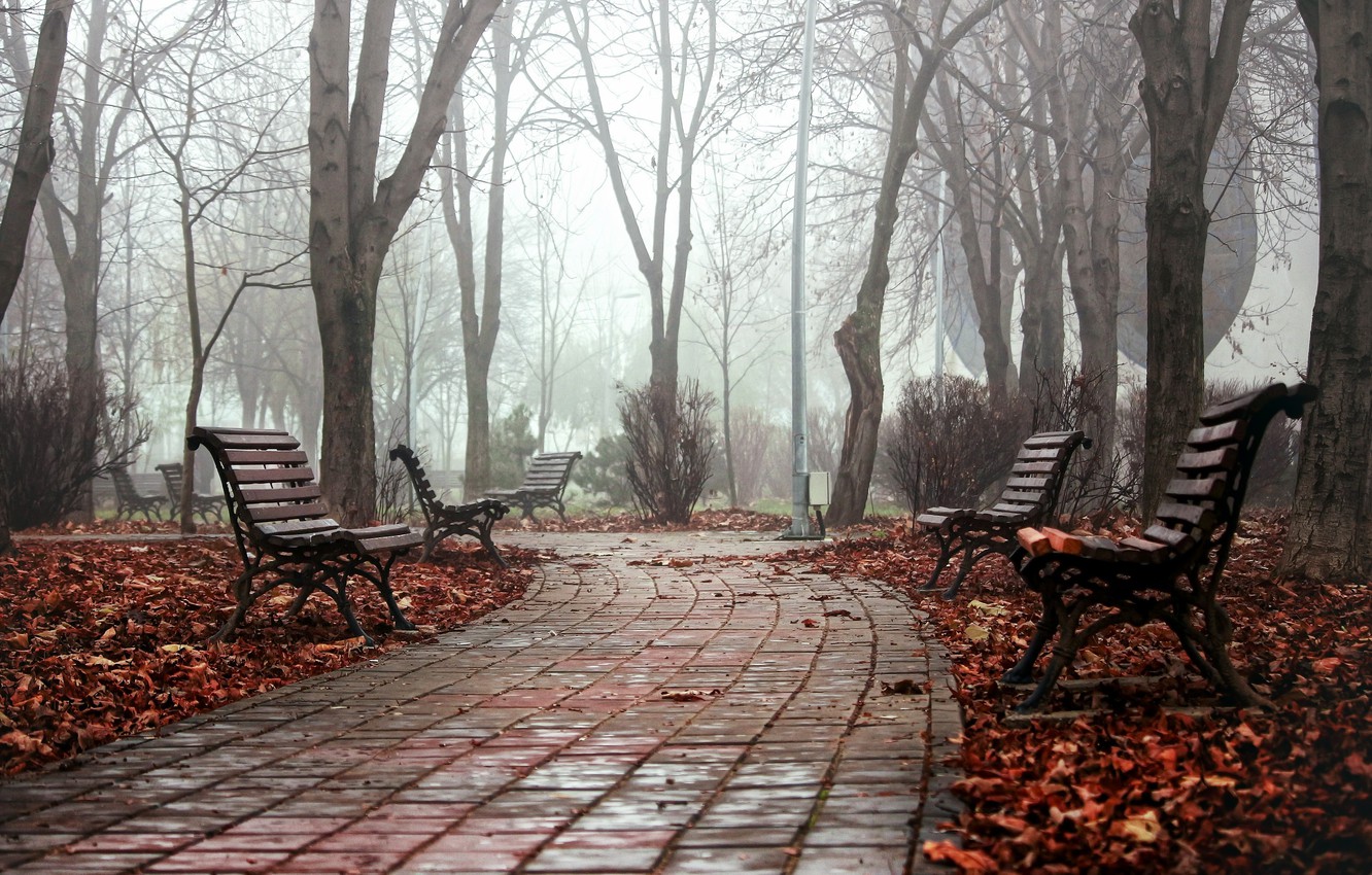 Wallpaper autumn, the city, fog, Park, bench image for desktop, section город