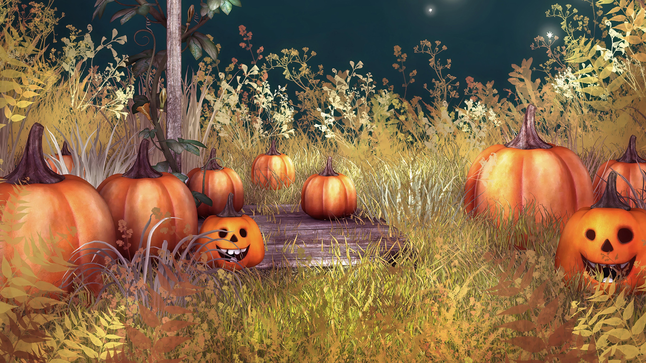 Halloween Pumpkin Background