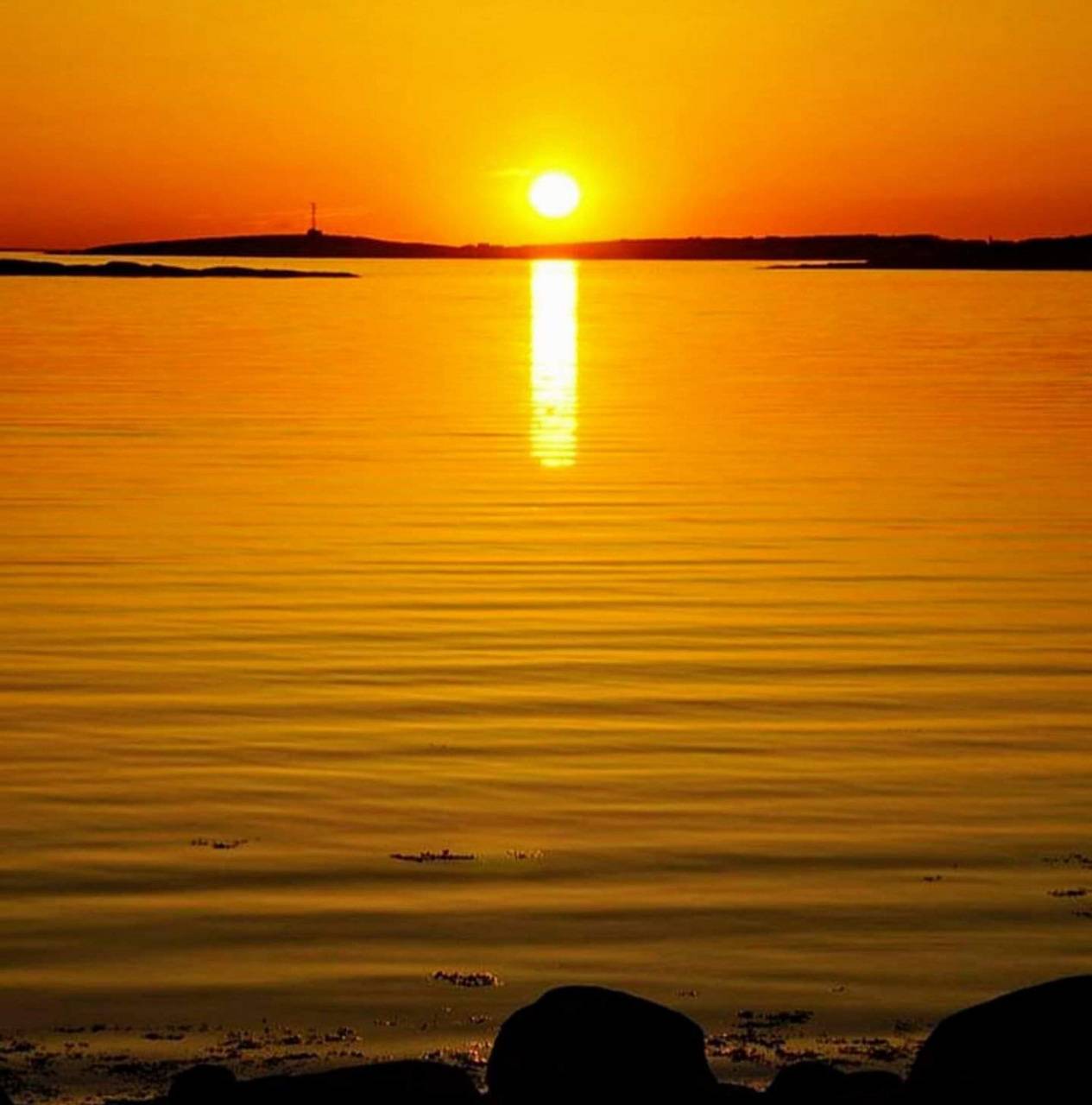 sunset yellow