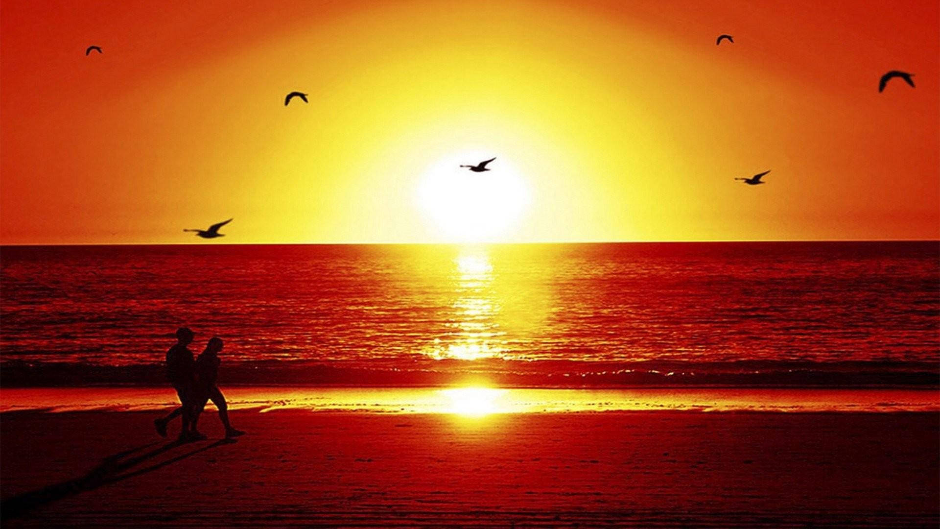 Download Lovers On Beach During Sunset Wallpaper
