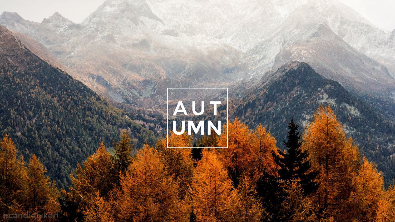 Autumn macbook wallpaper by emiliavff  Desktop wallpaper art Macbook  wallpaper Mood board design