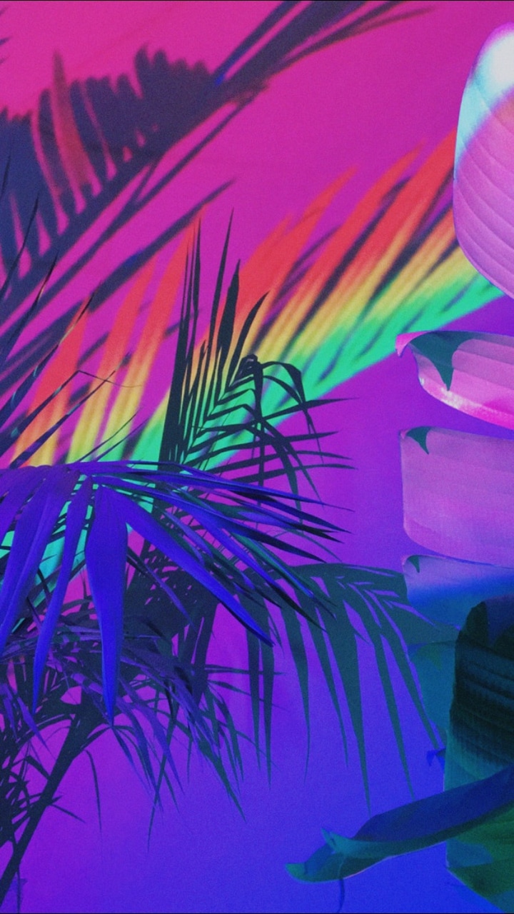 Wallpaper, Plants, And Rainbow Image
