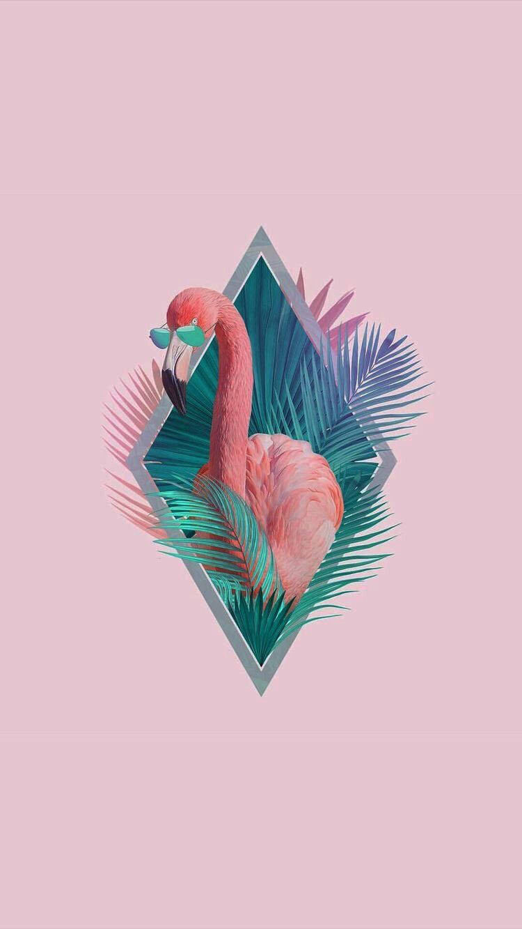 Download Pink Flamingo Cute Summer Aesthetic Wallpaper
