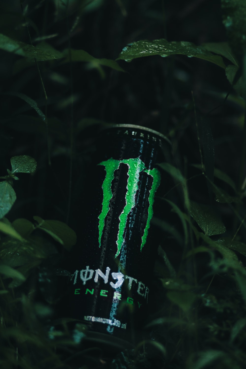 Monster Drink Picture. Download Free Image