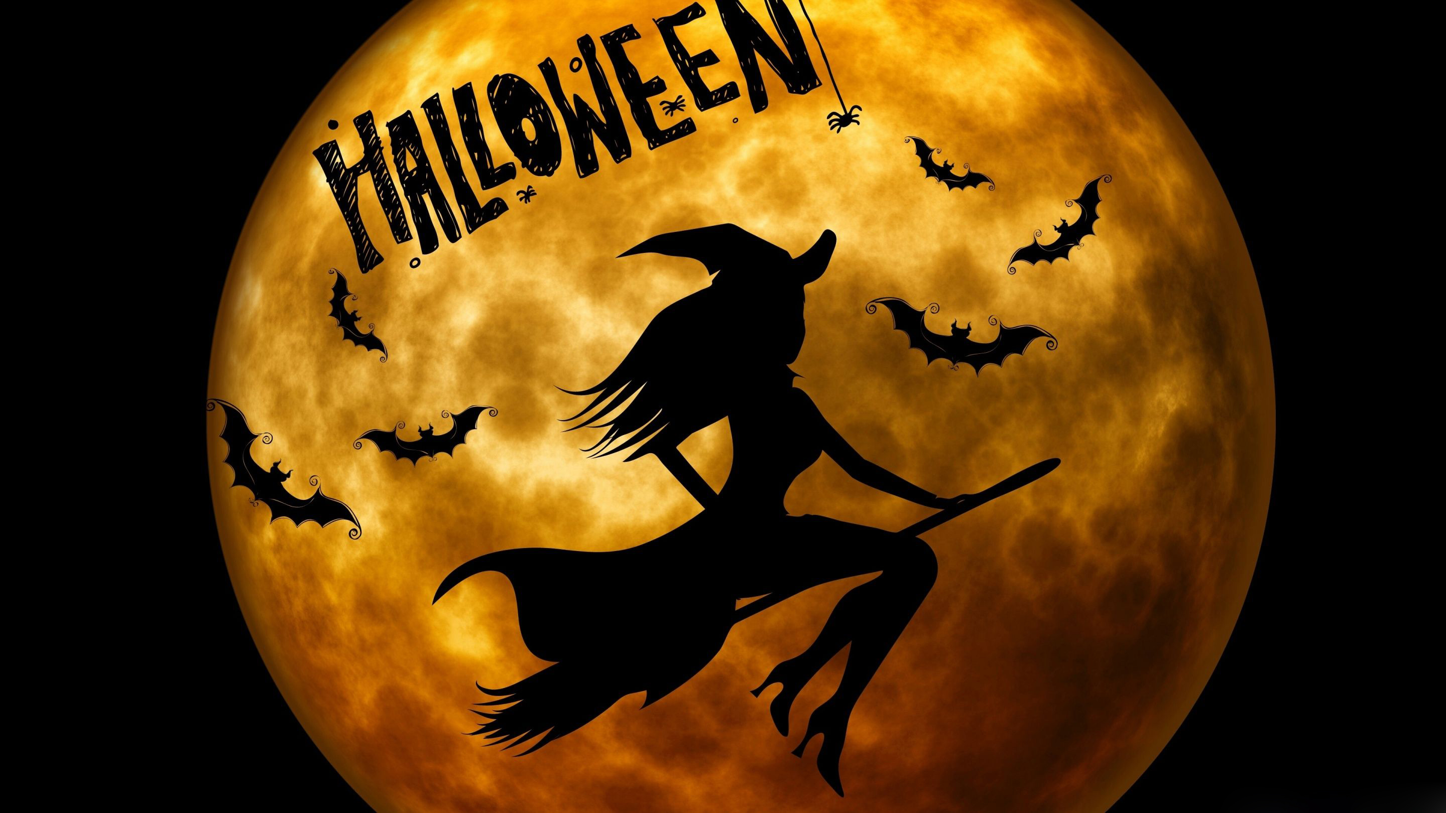 Free Download Witch Halloween HD Wallpaper Computer