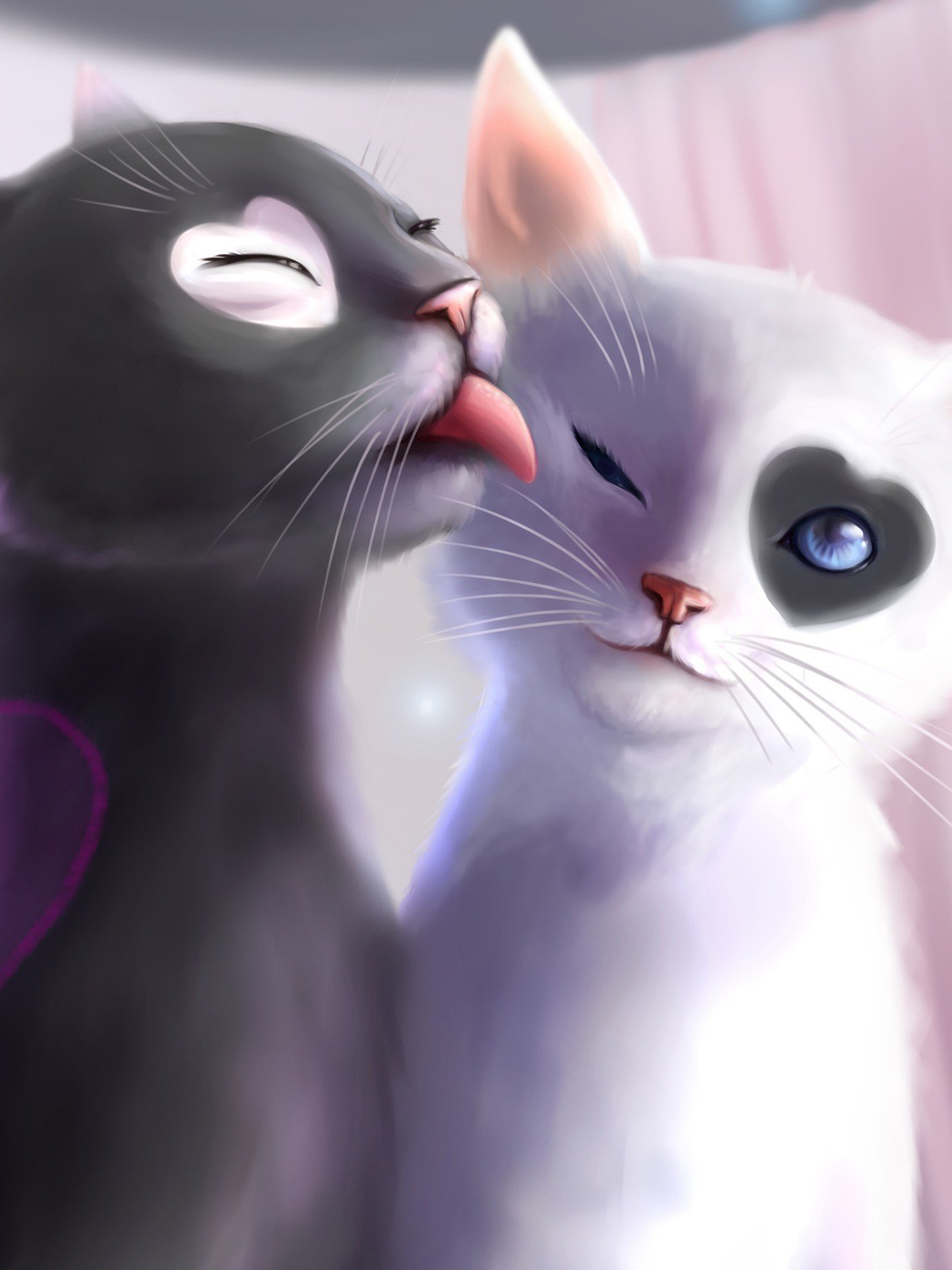 Black And White Cat Art Wallpaper & Background Beautiful Best Available For Download Black And White Cat Art Photo Free On Zicxa.com Image