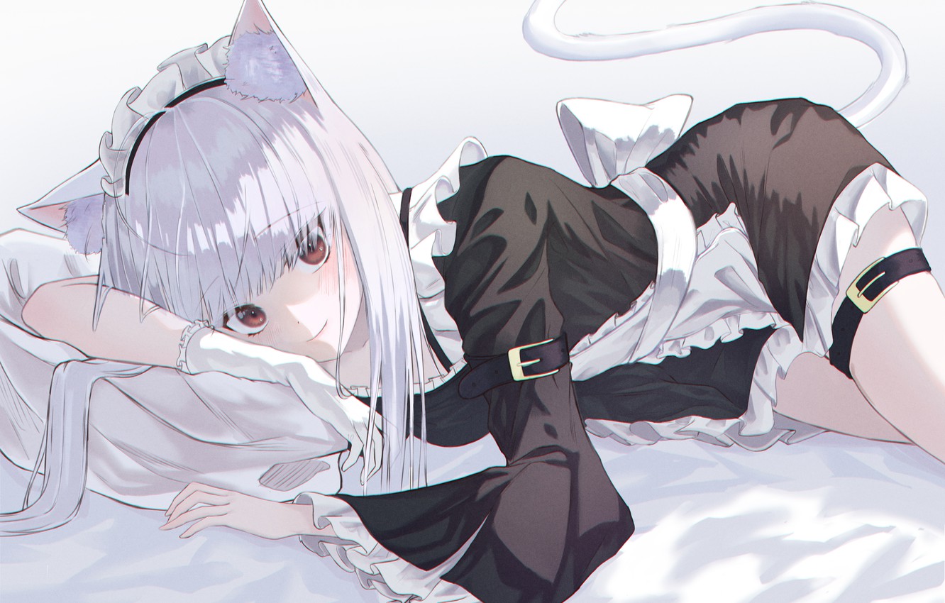 Wallpaper girl, lies, neko, the maid image for desktop, section арт