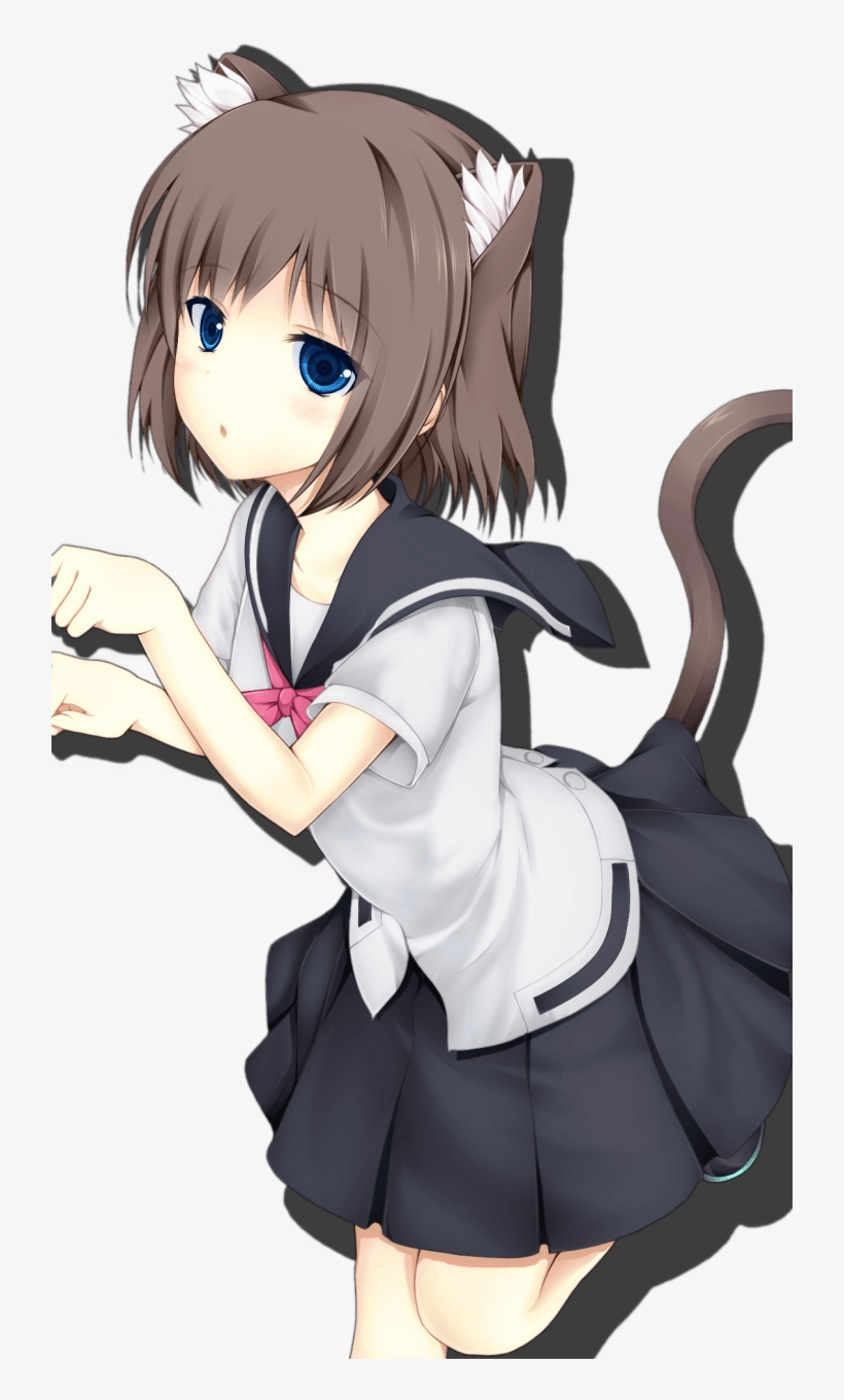 Neko Girl Wallpaper iPhone Transparent PNG Download on NicePNG