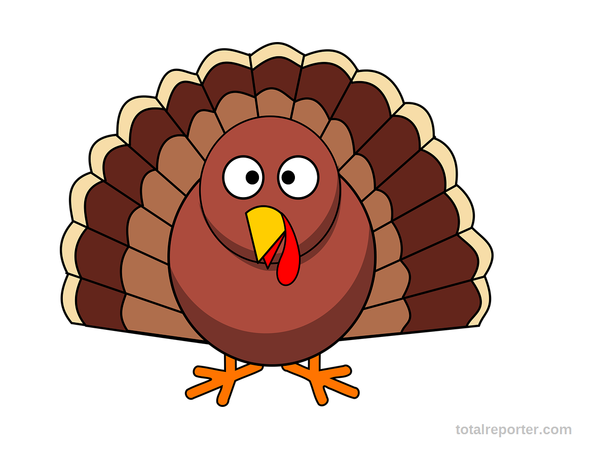 Happy Thanksgiving Day 2022: Image, Quotes, Wishes, Clipart, Messages, Photo for Facebook and Whatsapp