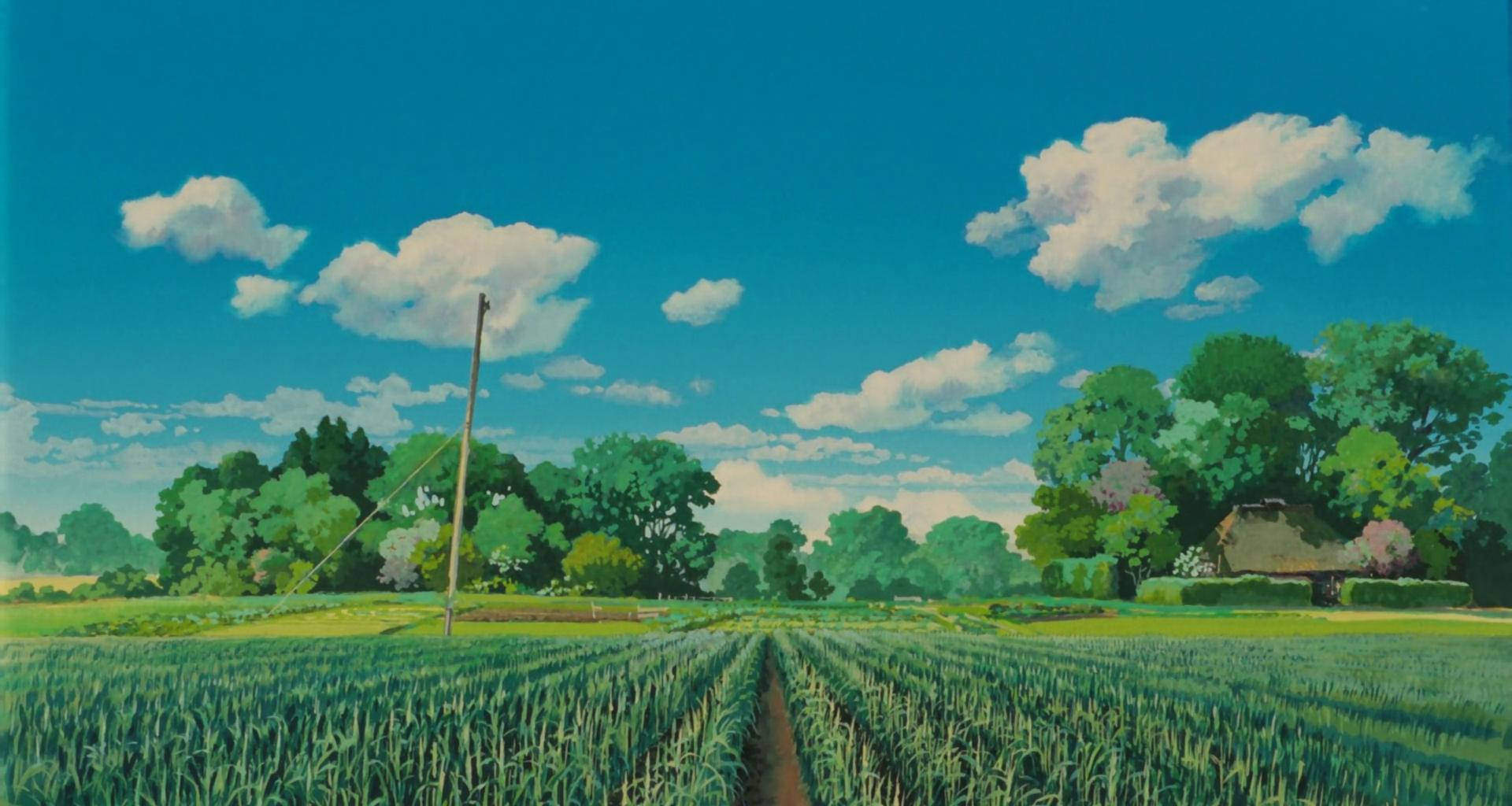 Download Studio Ghibli Fields Wallpaper